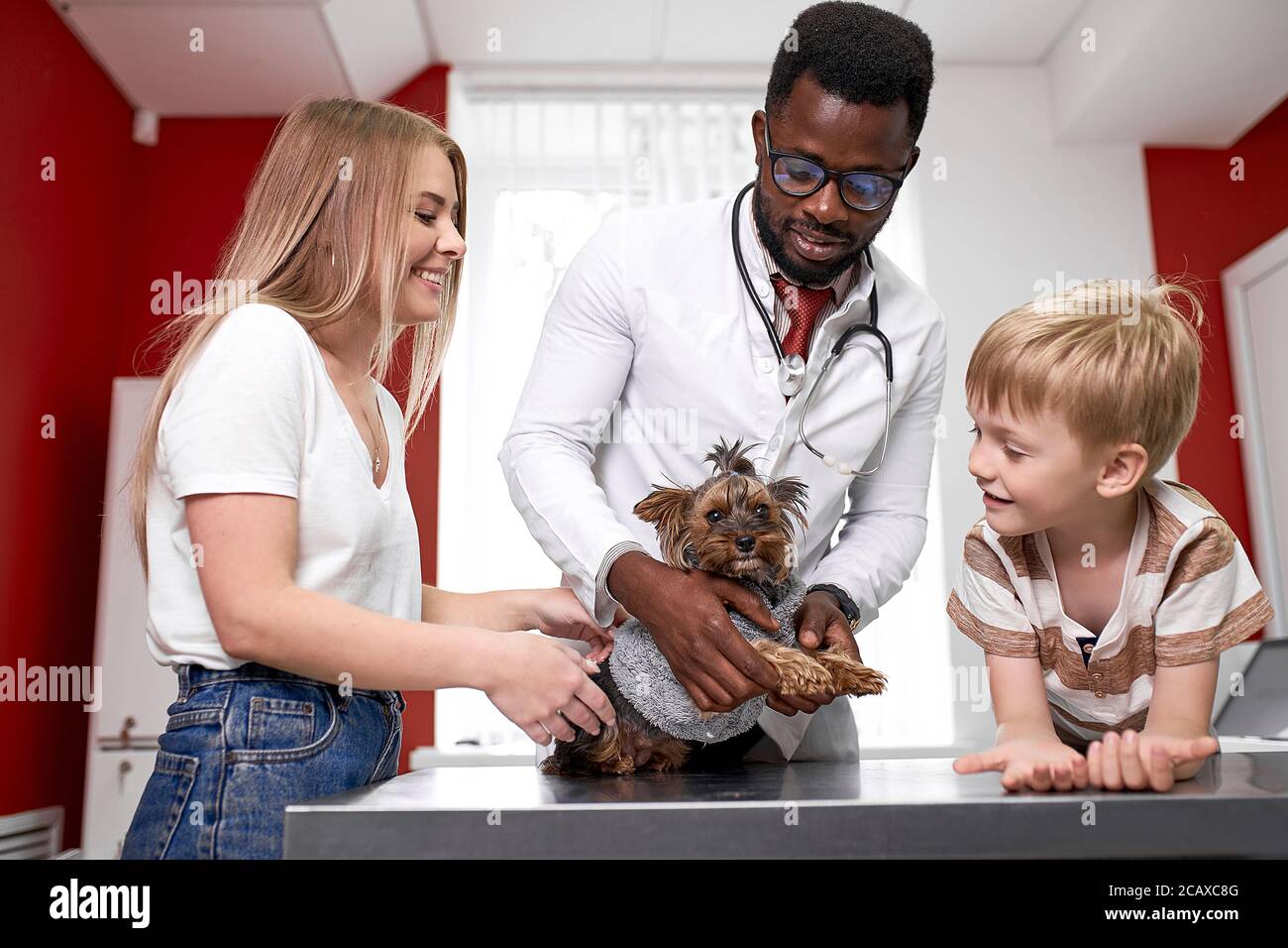 confident vet doctor checking nails of dog, maintain animal health, in