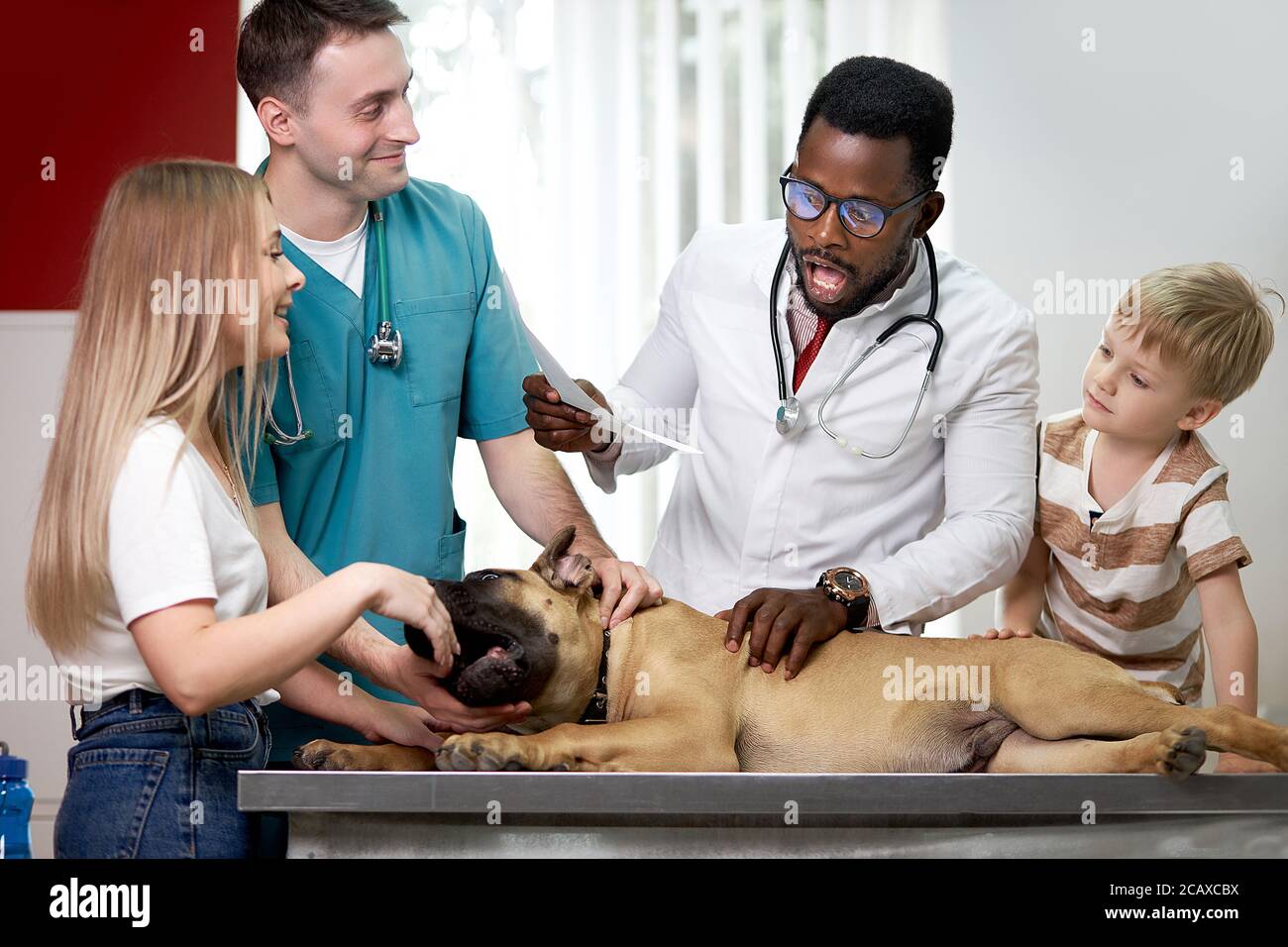 friendly woma and child came to the vet with a dog, they want the vet to cure their beloved dog, examine him Stock Photo