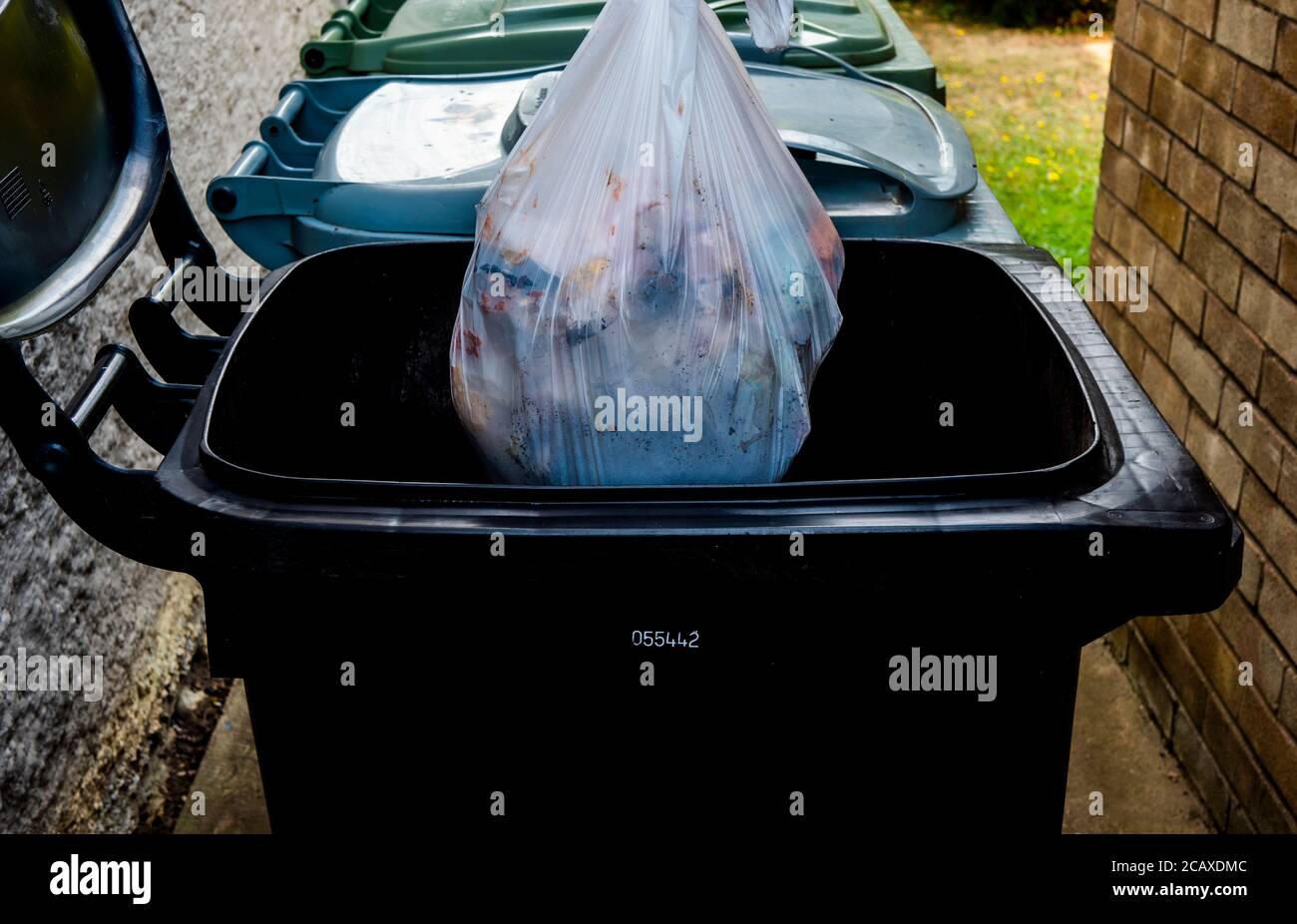Full Plastic Trash Bag High Resolution Stock Photography and Images Alamy