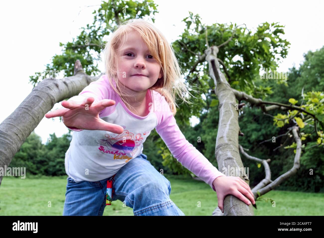 A 6-7 year old girl, climbing a tree and reaching out with her hand to the camera, London, UK Stock Photo