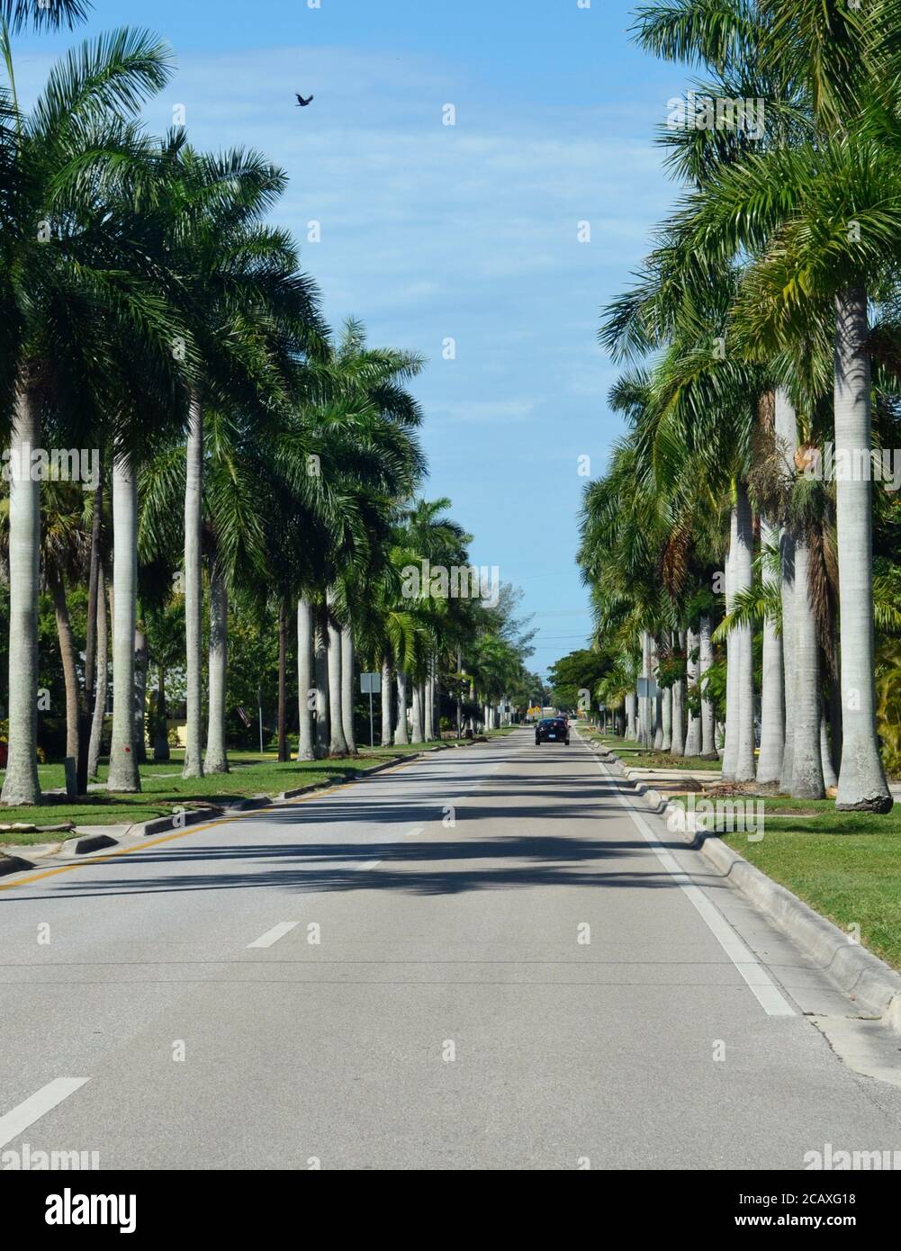 Marion Avenue leading out of downtown Punta Gorda Stock Photo Alamy