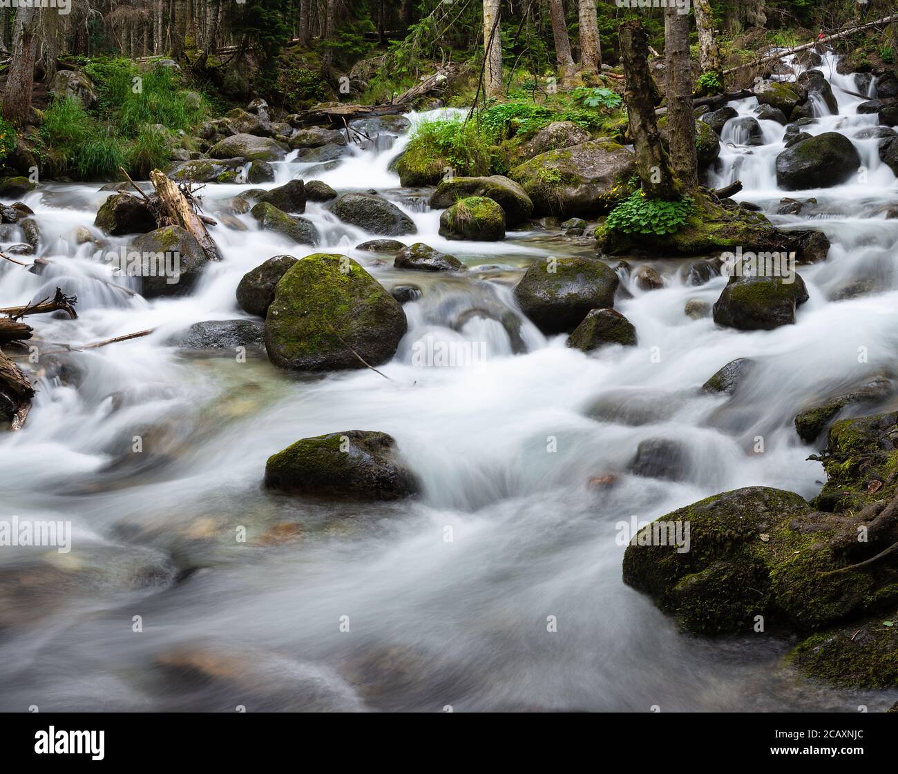 Beautiful river valley in rocky hi-res stock photography and images - Alamy