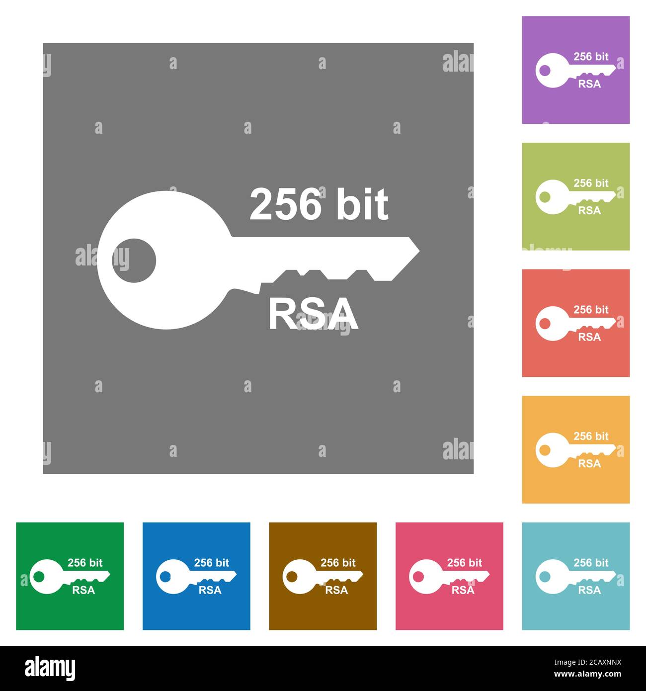 256 bit rsa encryption flat icons on simple color square backgrounds ...