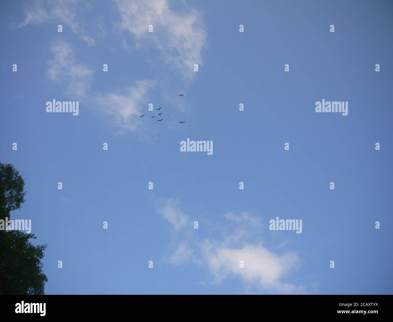 Clear blue sky with a few clouds hi-res stock photography and images ...