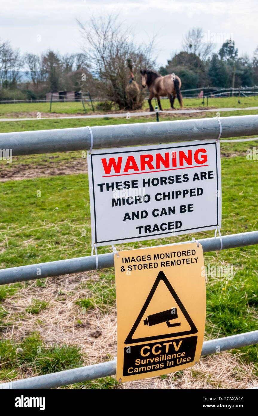 Warning notices that horses are micro chipped and can be traced and that they are under cctv surveillance. Stock Photo