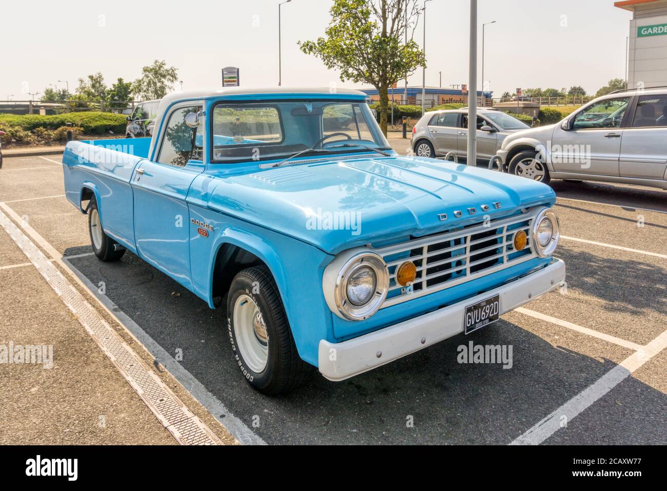1966 Dodge 100 pick-up truck. Stock Photo