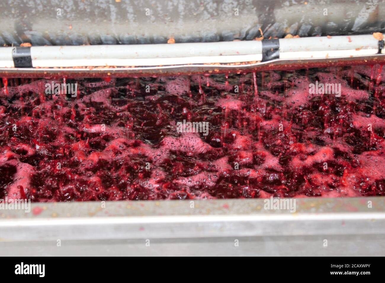 Wine making process hires stock photography and images Alamy