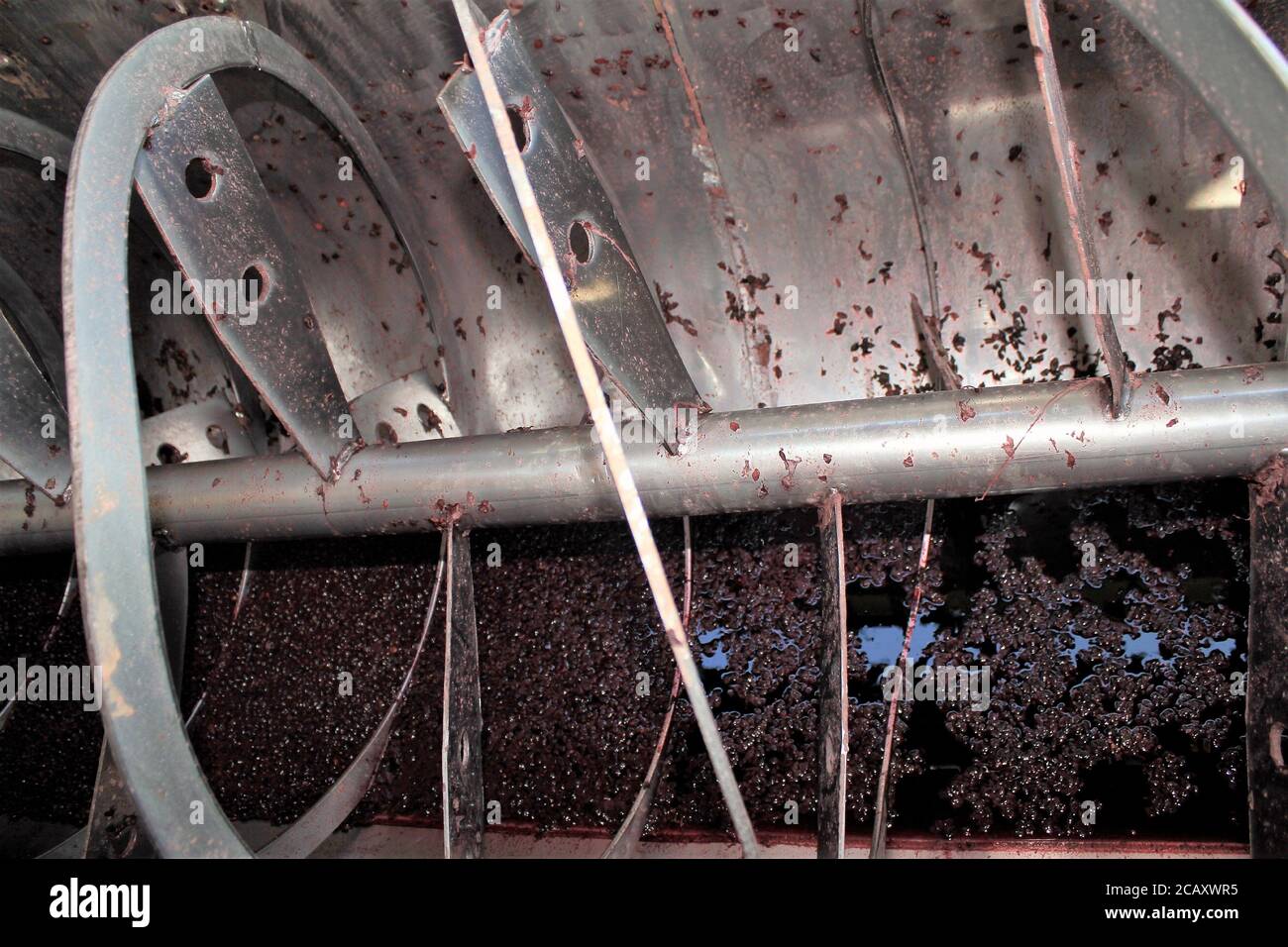 Grapes entering and leaving a crusherdestemmer during red wine making