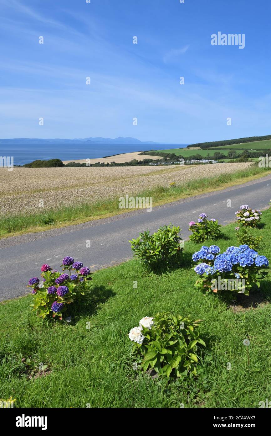9th, January,2020. Croy, Ayrshire, Scotland, UK. Temperatures in the mid twenties seems contradictory to the severe weather warning in place for midweek with thunderstorms forecast. Credit. Douglas Carr/Alamy Live News Stock Photo