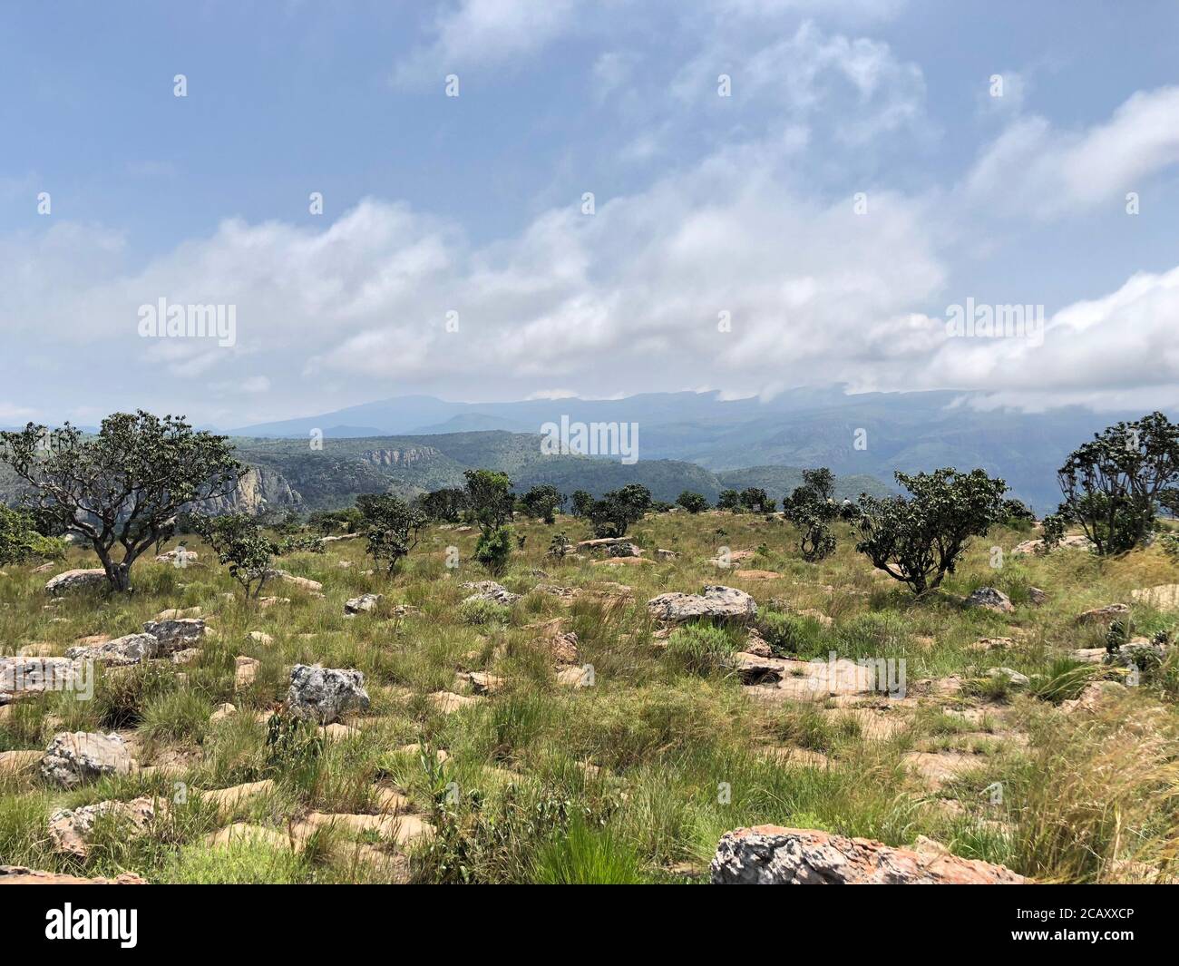 Natural scenery along the beautiful Blyde Canyon, South Africa from a viewpoint above. Stock Photo