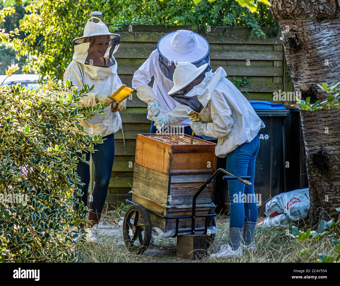 Bee Keeping and Honey Harvest in Grevenbroich, Germany Stock Photo Alamy
