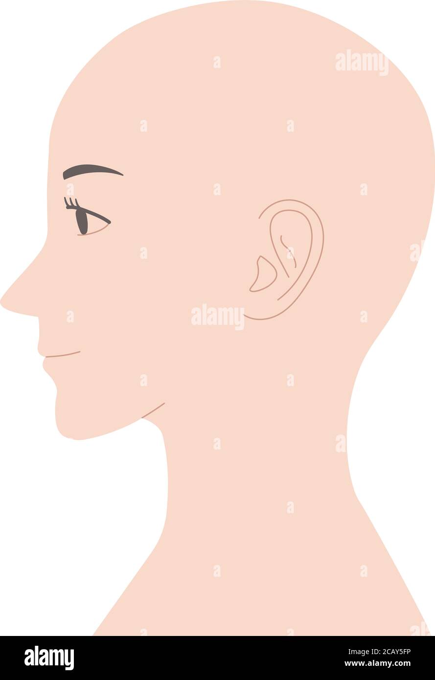 Mannequin of skinhead woman face without main lines. Vector illustration isolated on white background. Stock Vector