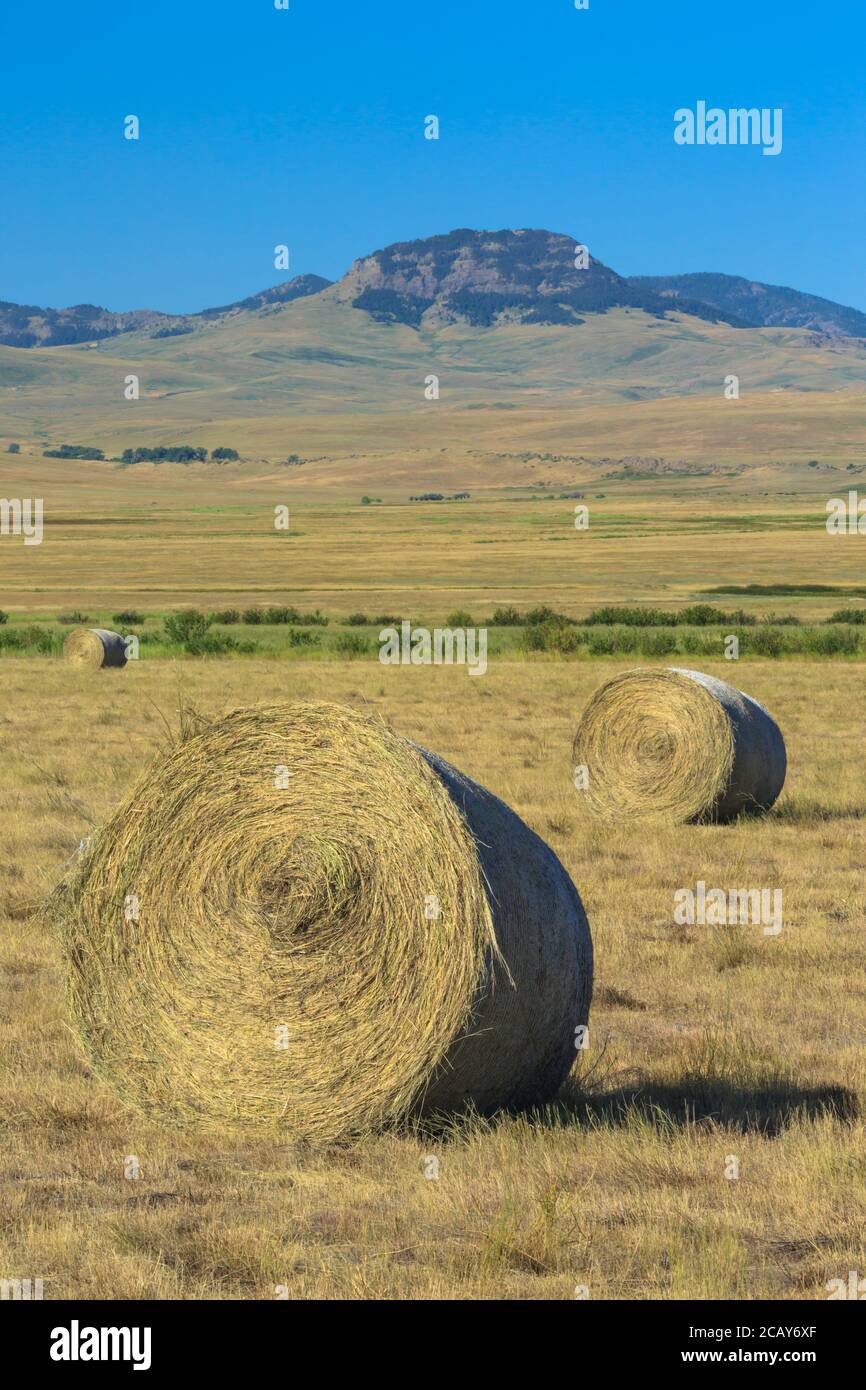 hay bales below skull butte near cascade, montana Stock Photo