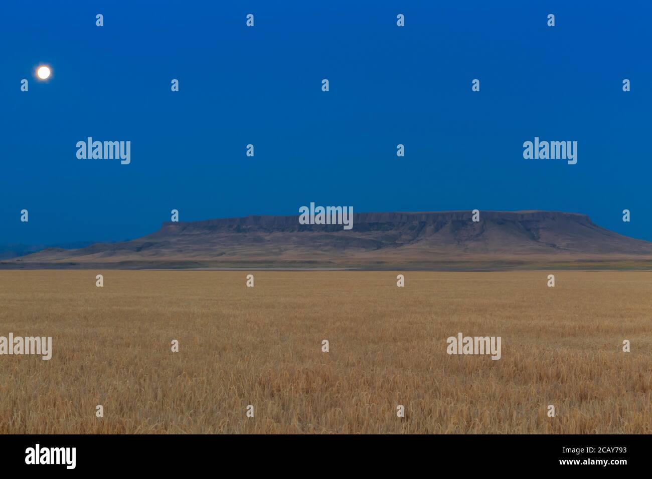 Mt d0800 hires stock photography and images Alamy