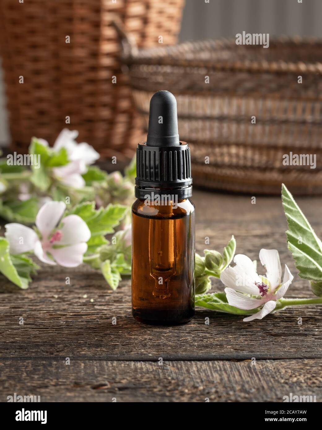 A bottle of marshmallow root tincture with Althaea officinalis flowers on a table Stock Photo