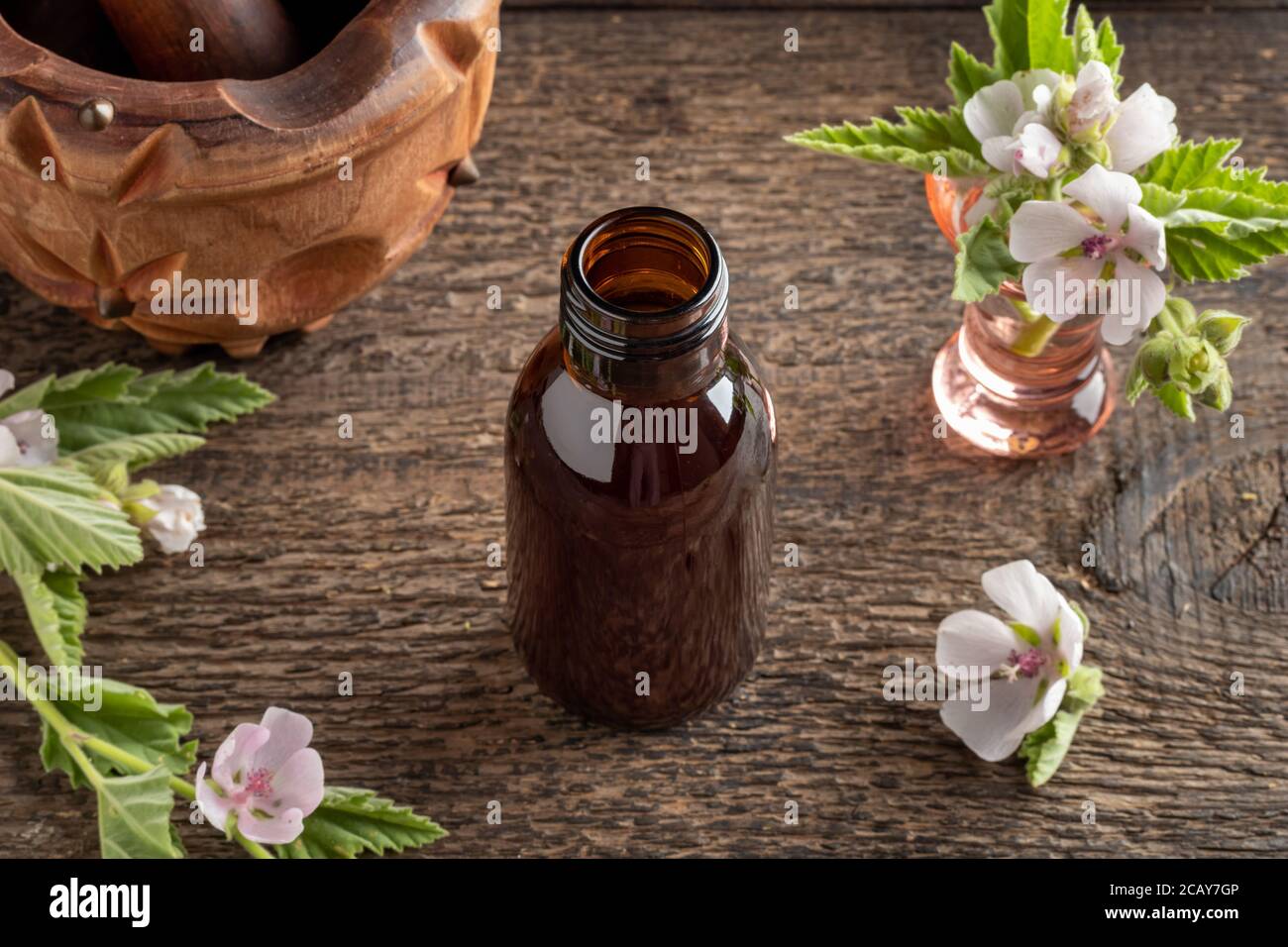 Marshmallow root hires stock photography and images Alamy