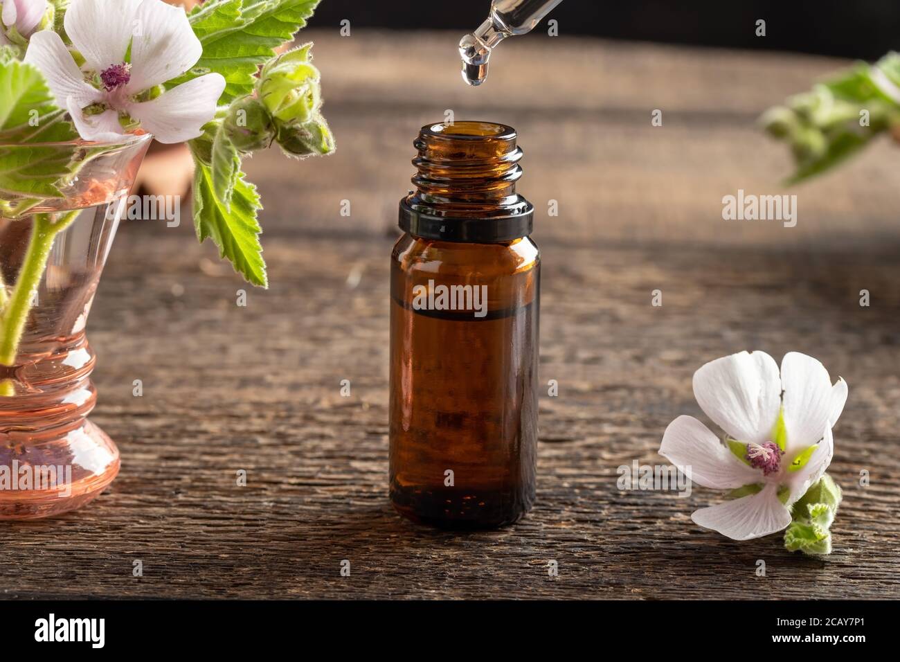 A drop falling into a bottle of marshmallow root tincture with fresh