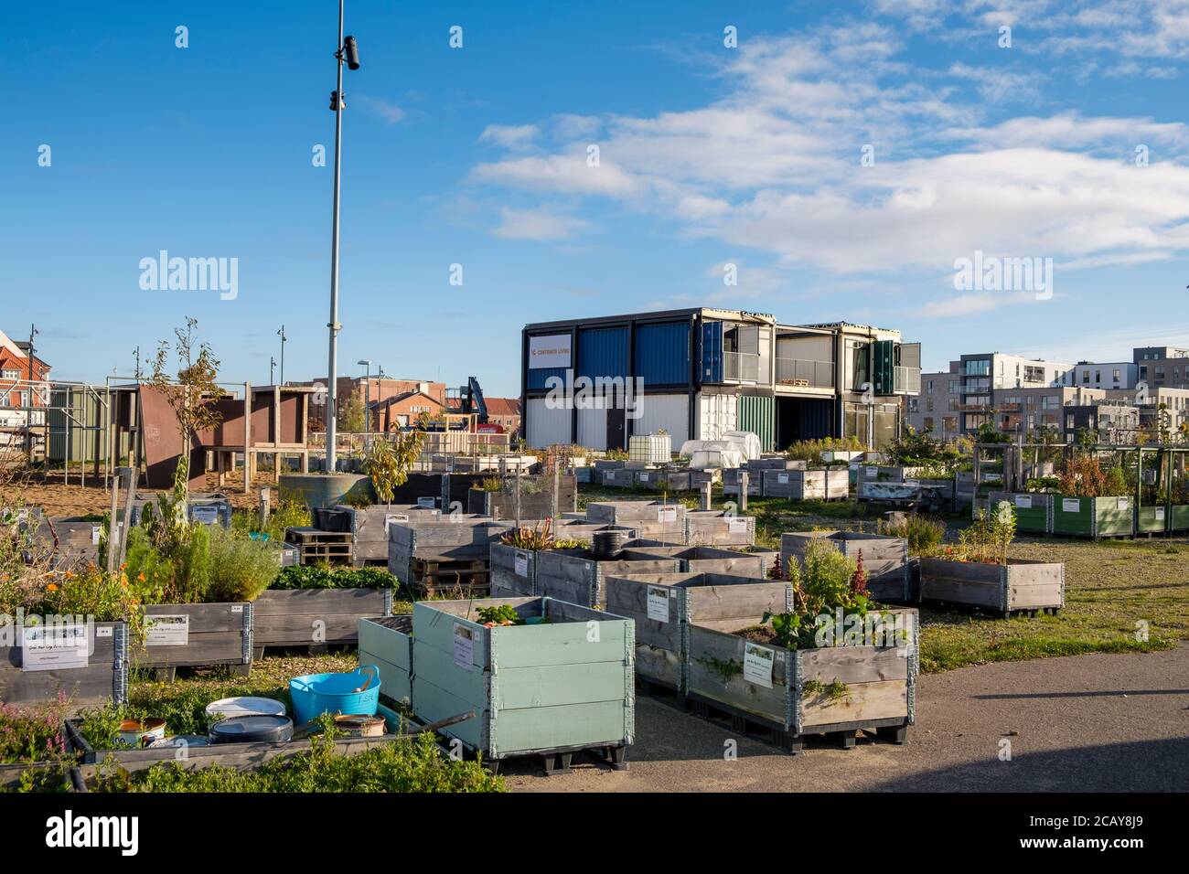 Shipping container homes near harbor, Fredericia, Denmark Stock Photo