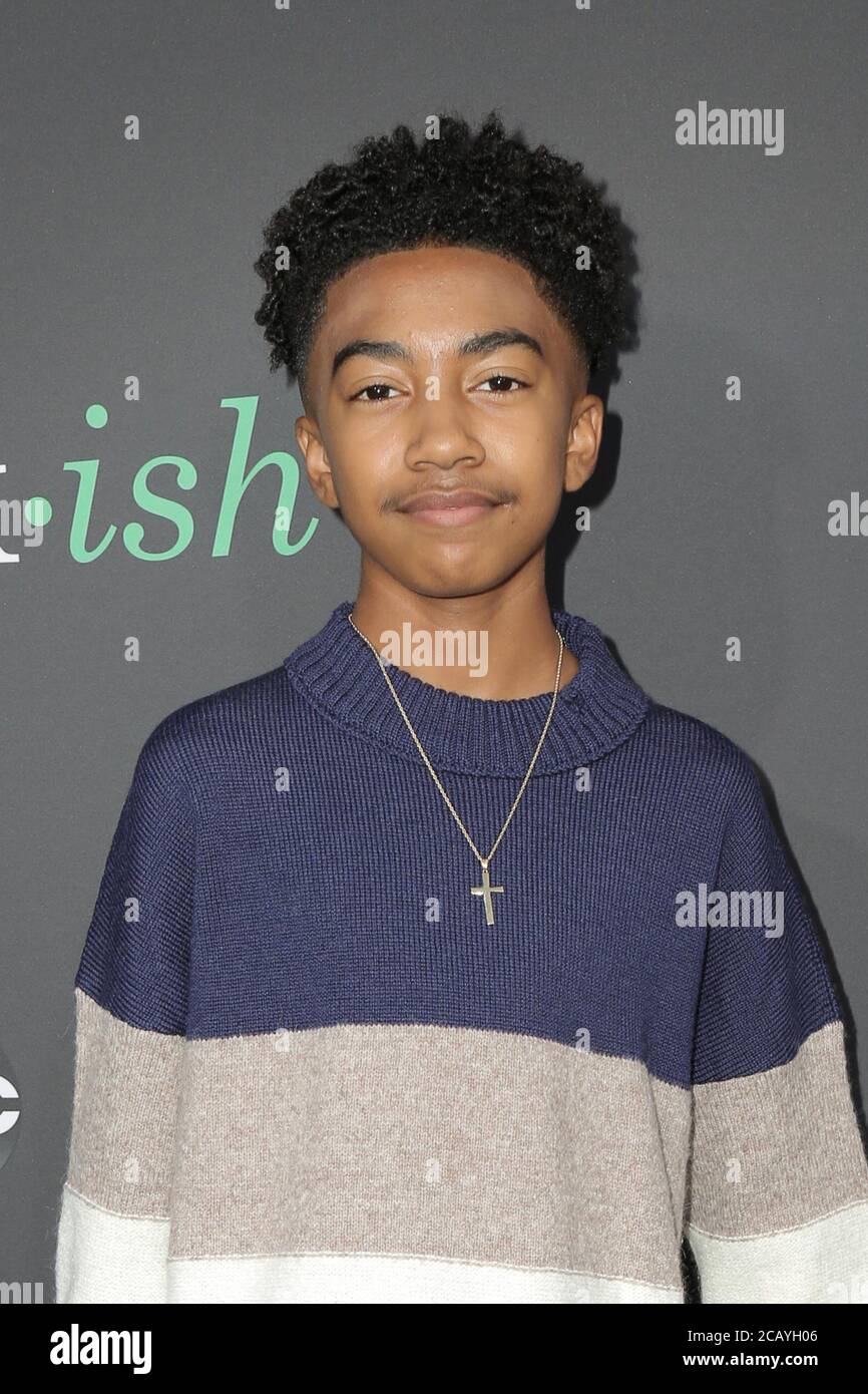 LOS ANGELES - SEP 17: Miles Brown at the POPSUGAR X ABC