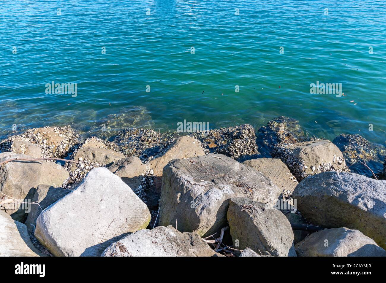 Rocks on the shore with barnacles and clear turquoise water Stock Photo