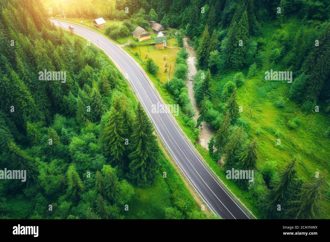 Aerial view of road in beautiful green forest at sunset Stock Photo