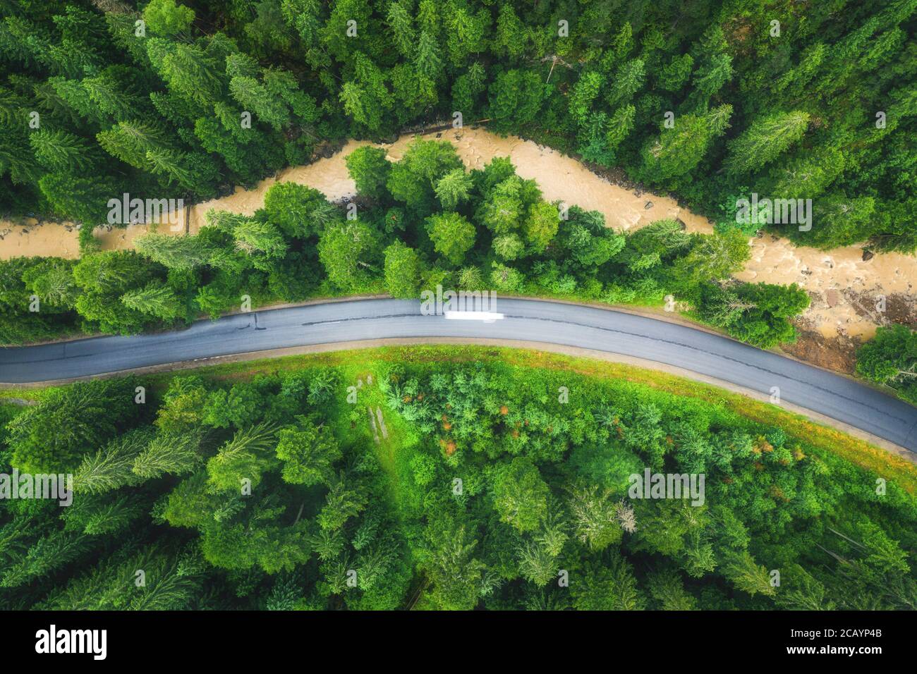 Aerial view of road in beautiful green forest at sunset in summer Stock ...