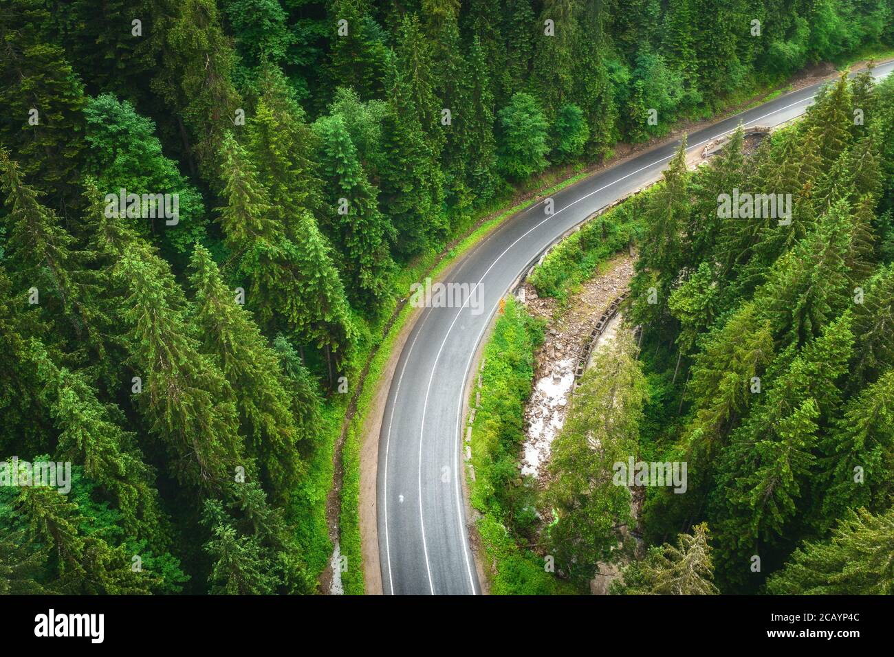 Aerial view of road in beautiful green forest at sunset in summer Stock ...