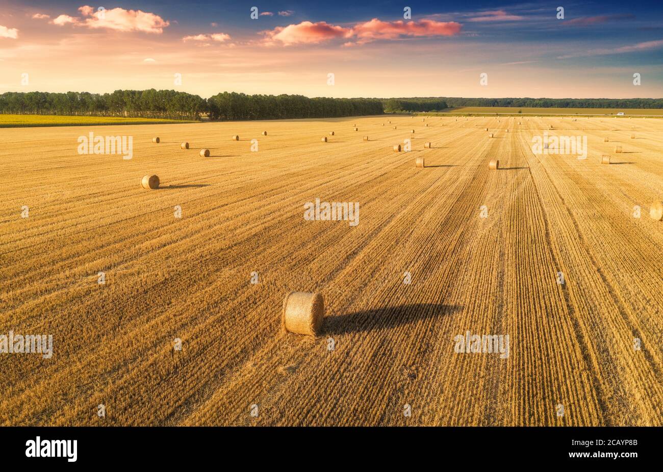 Aerial view of hay bales in summer. Top view of hay stacks Stock Photo