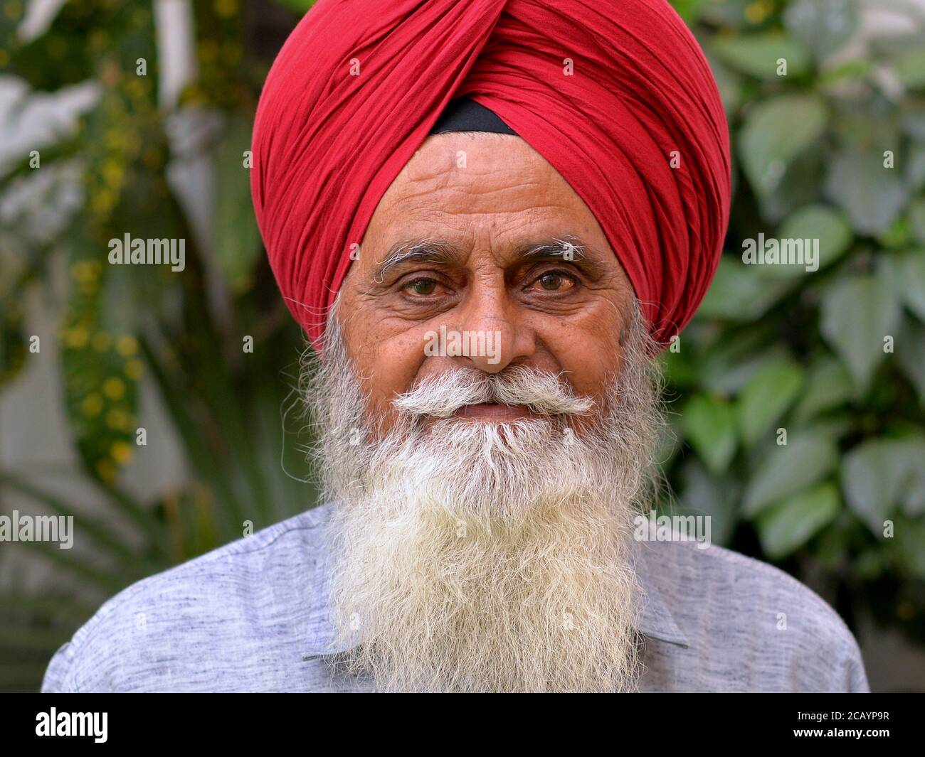 Old indian man with white beard hires stock photography and images Alamy