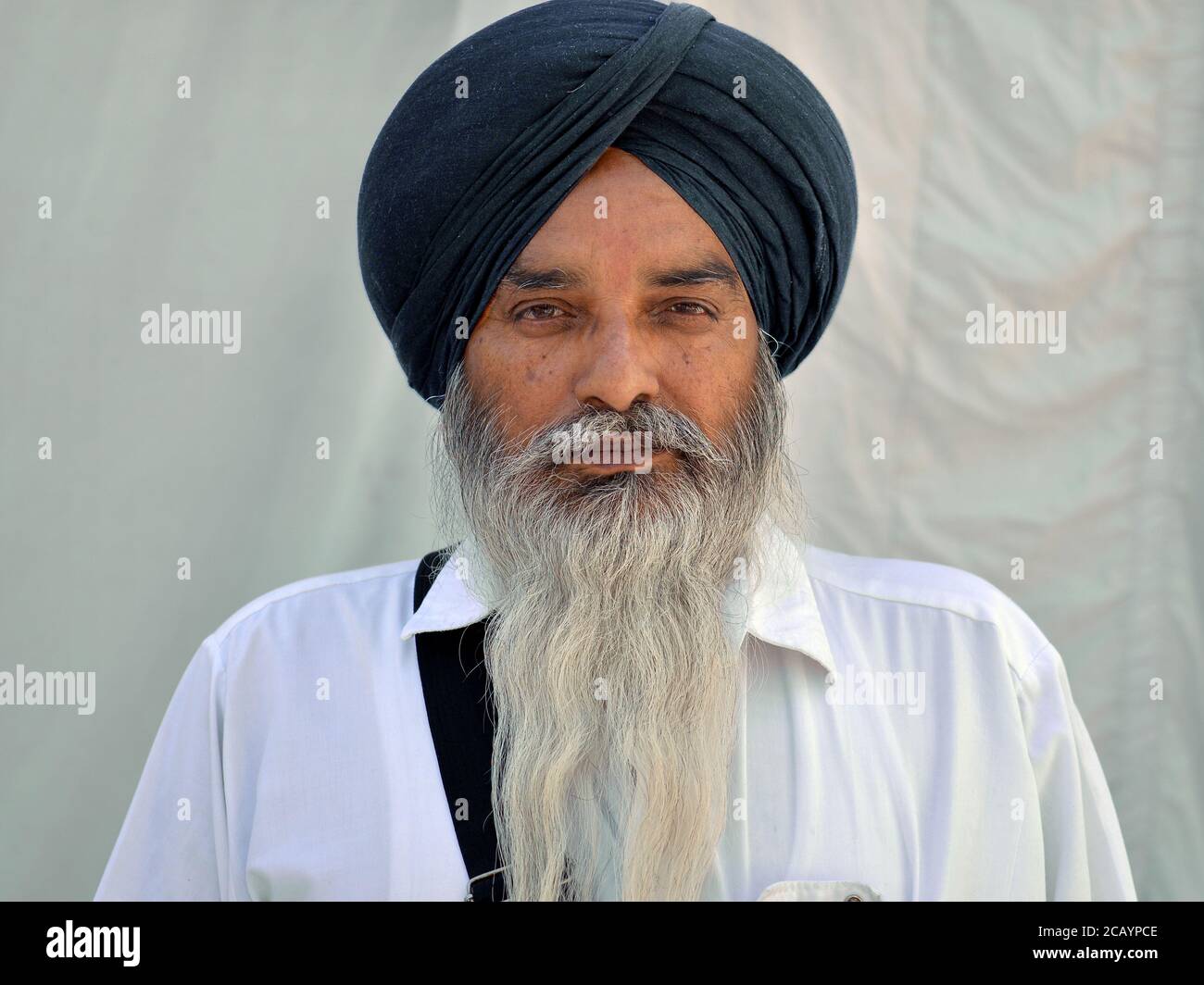 Middle-aged Indian Sikh devotee with black turban (dastar) and long beard poses for the camera. Stock Photo