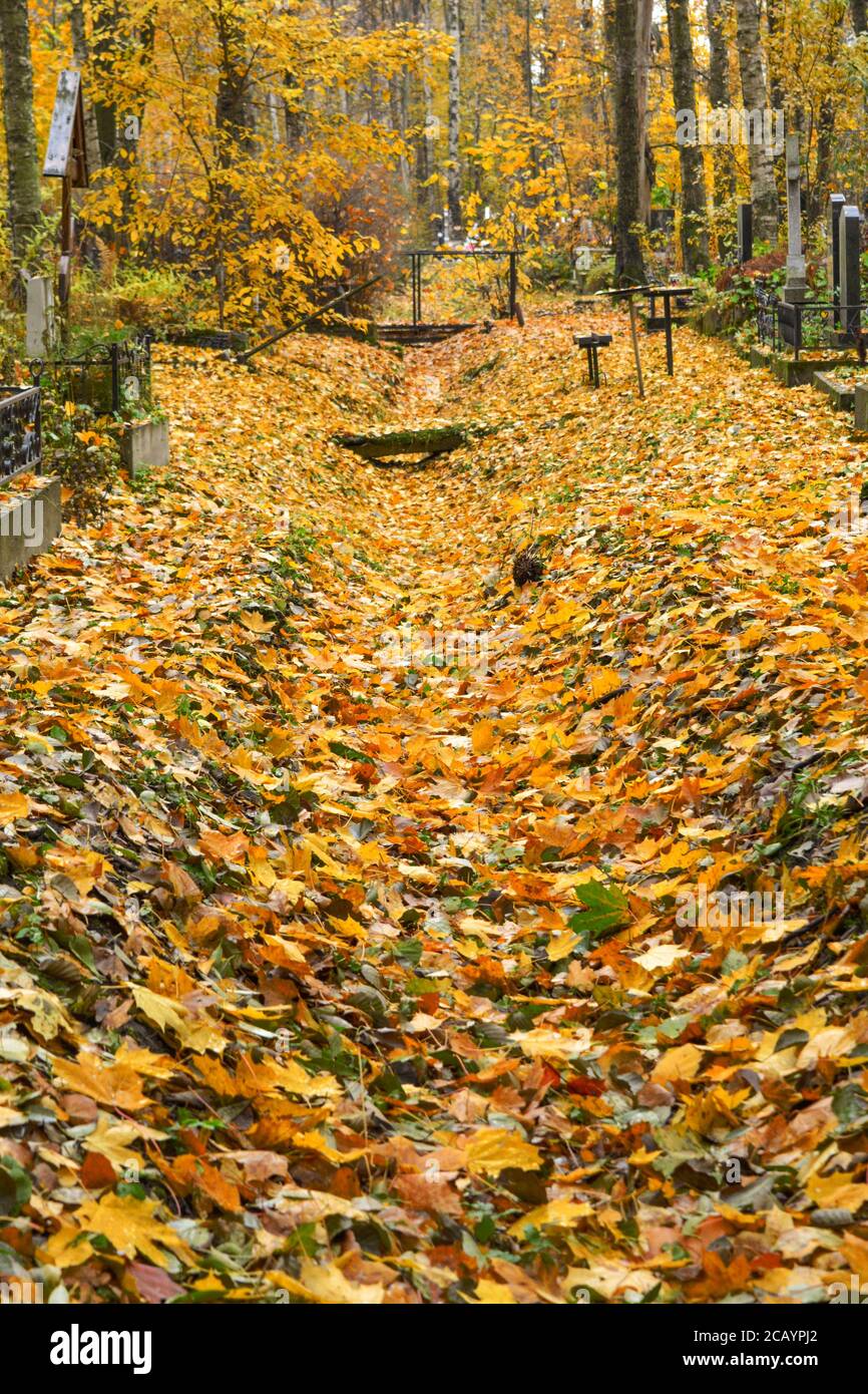 Autumn alley with yellow and orange fallen leaves of ancient Christian ...