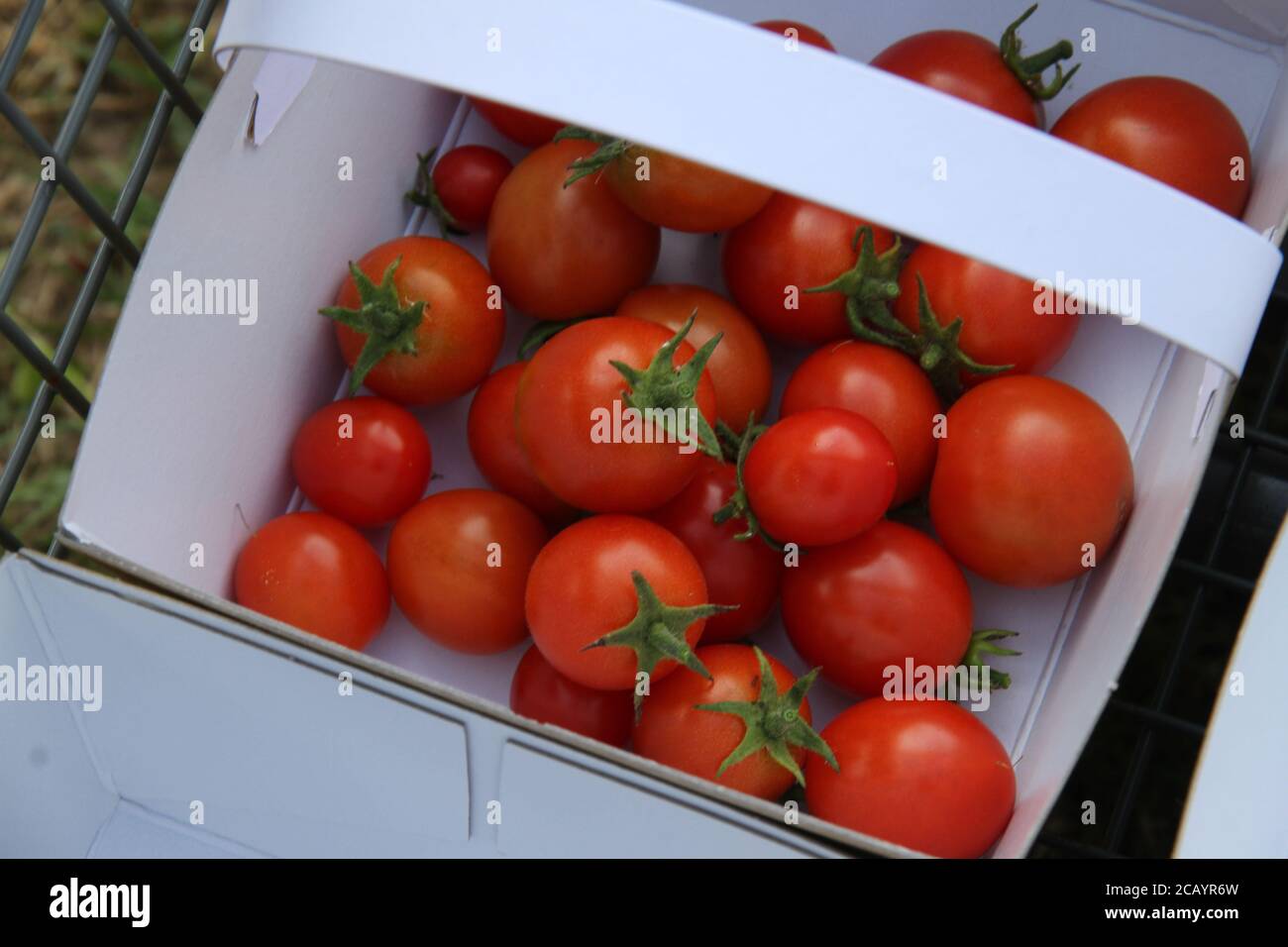 Parkside farm pick your own hires stock photography and images Alamy