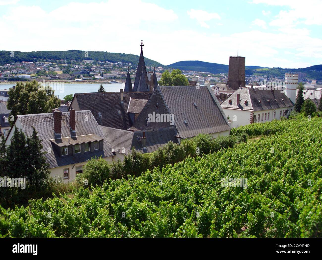 Rhine View From Rudesheim Cable Car Stock Photo