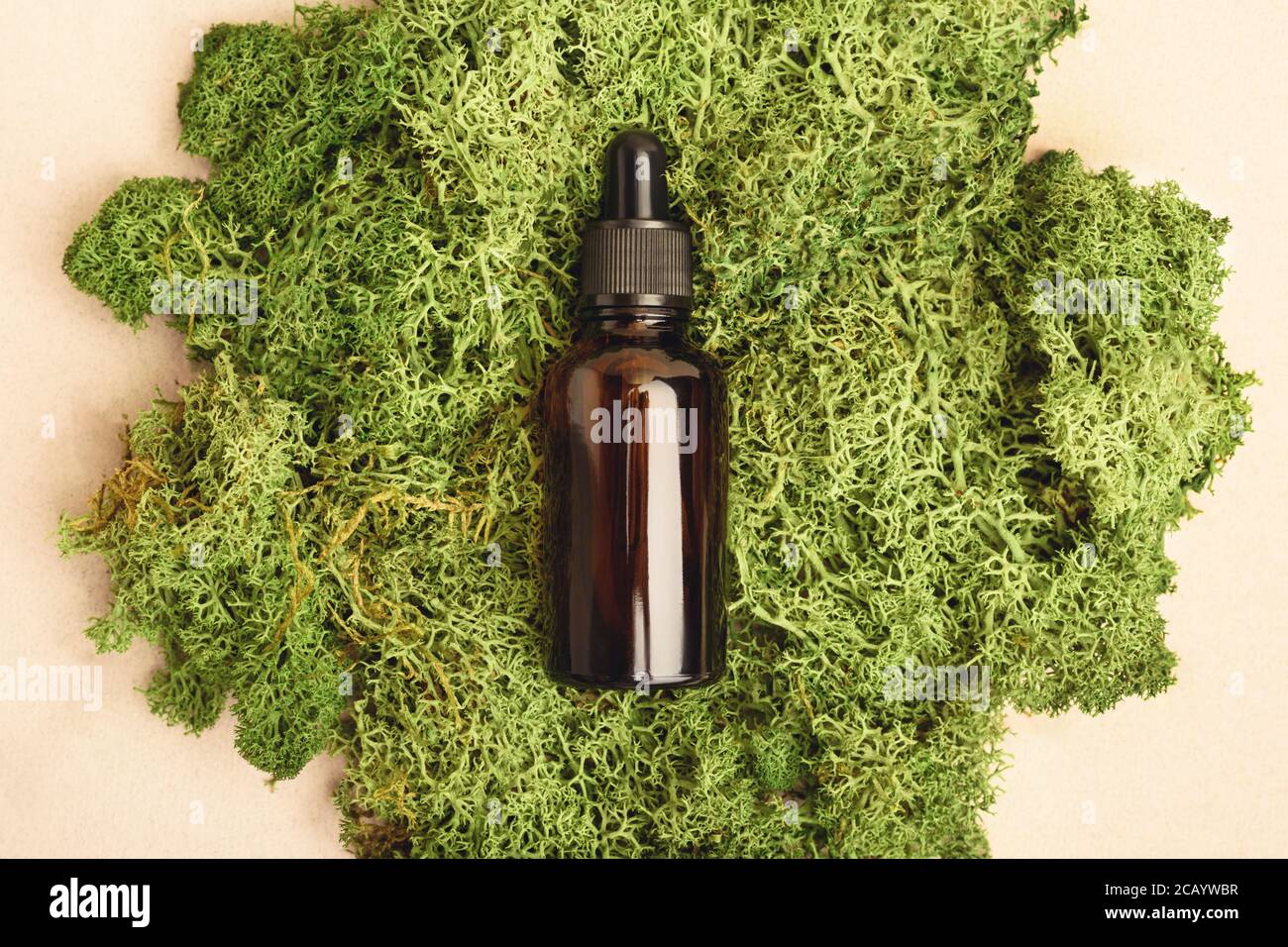 One serum glass bottles with pipette on the moss Stock Photo Alamy