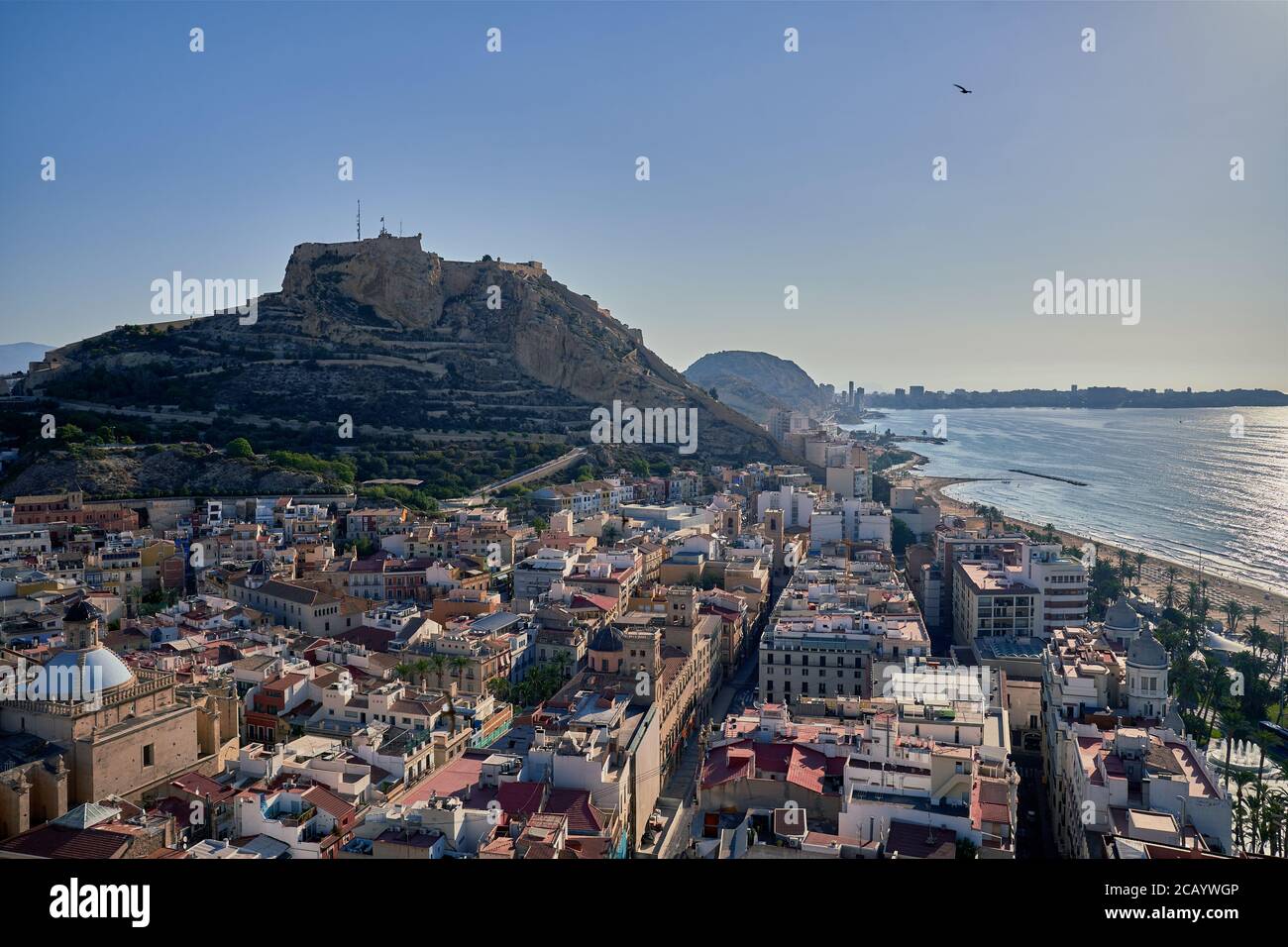 Rooftop view of the old town of Alicante City, castle hill and cathedral, Spain, Europe, July 2020 Stock Photo
