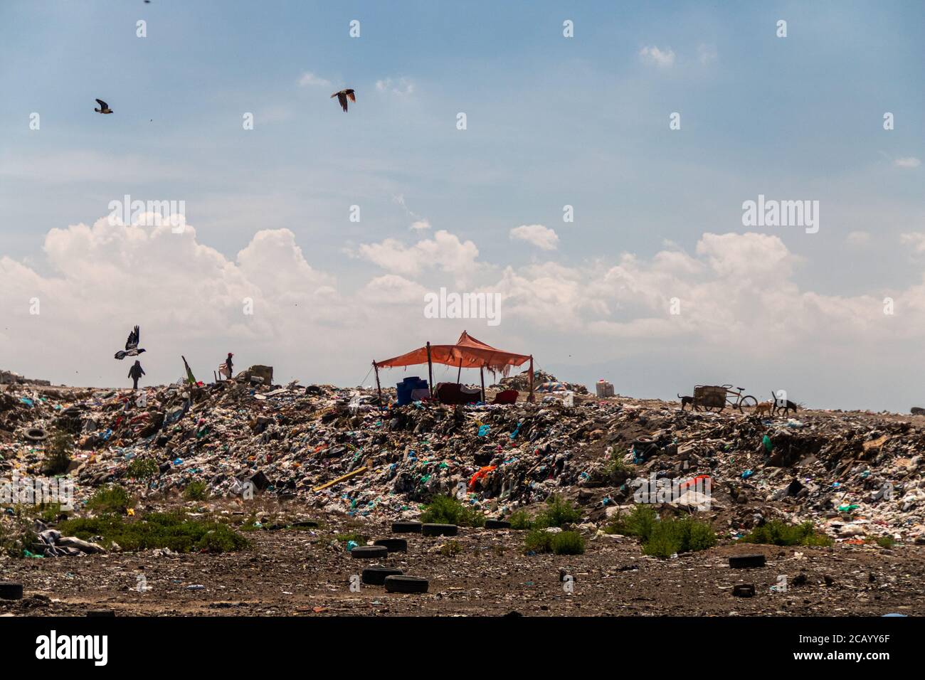A huge landfill for waste disposal. Accumulation of garbage in landfill