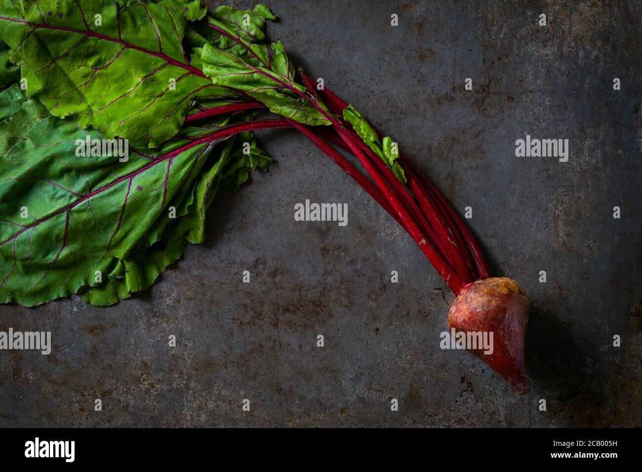 Red beets Stock Photo