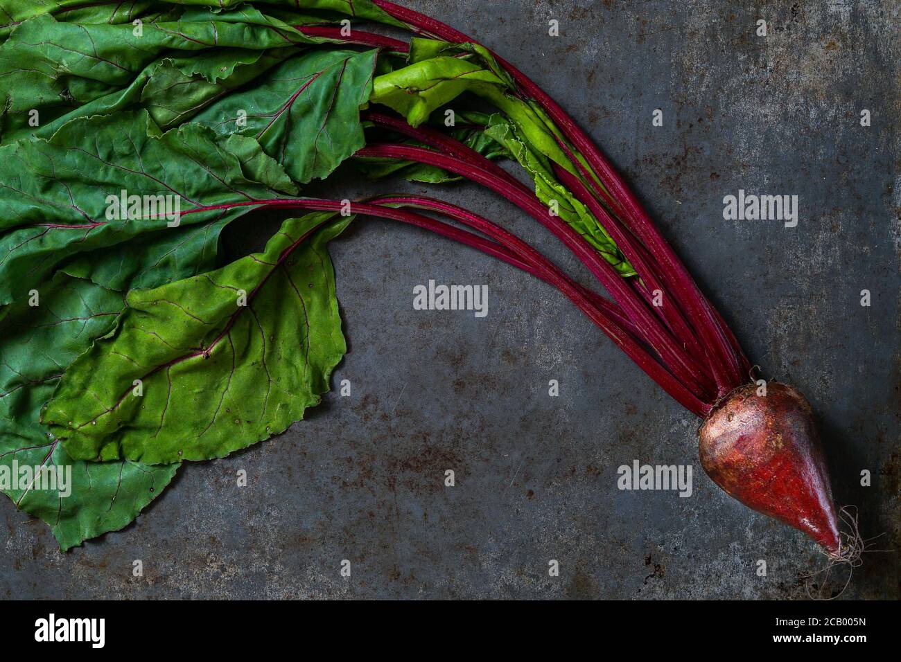 Red beets Stock Photo