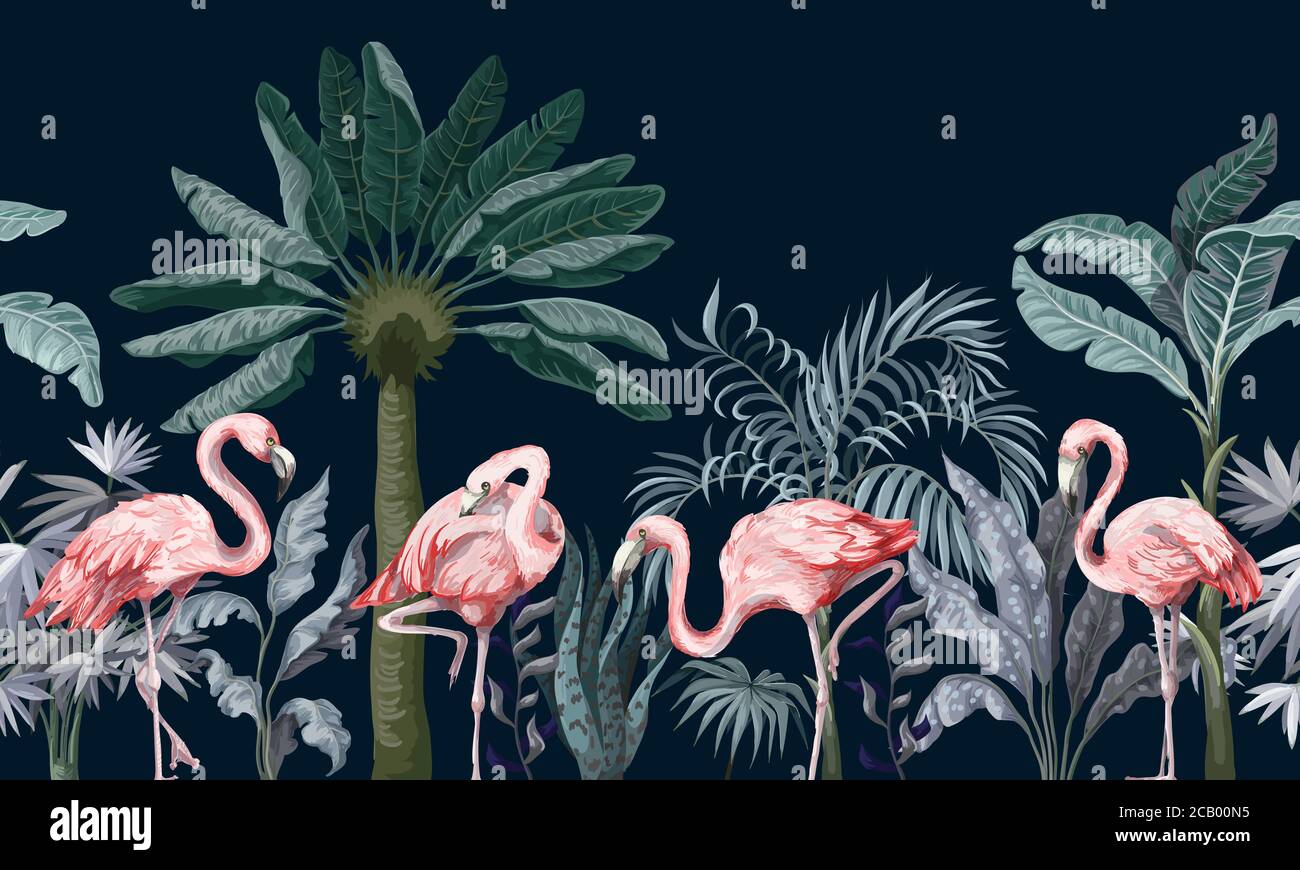 Border with pink flamingo in the jungle. Vector Stock Vector Image & Art -  Alamy