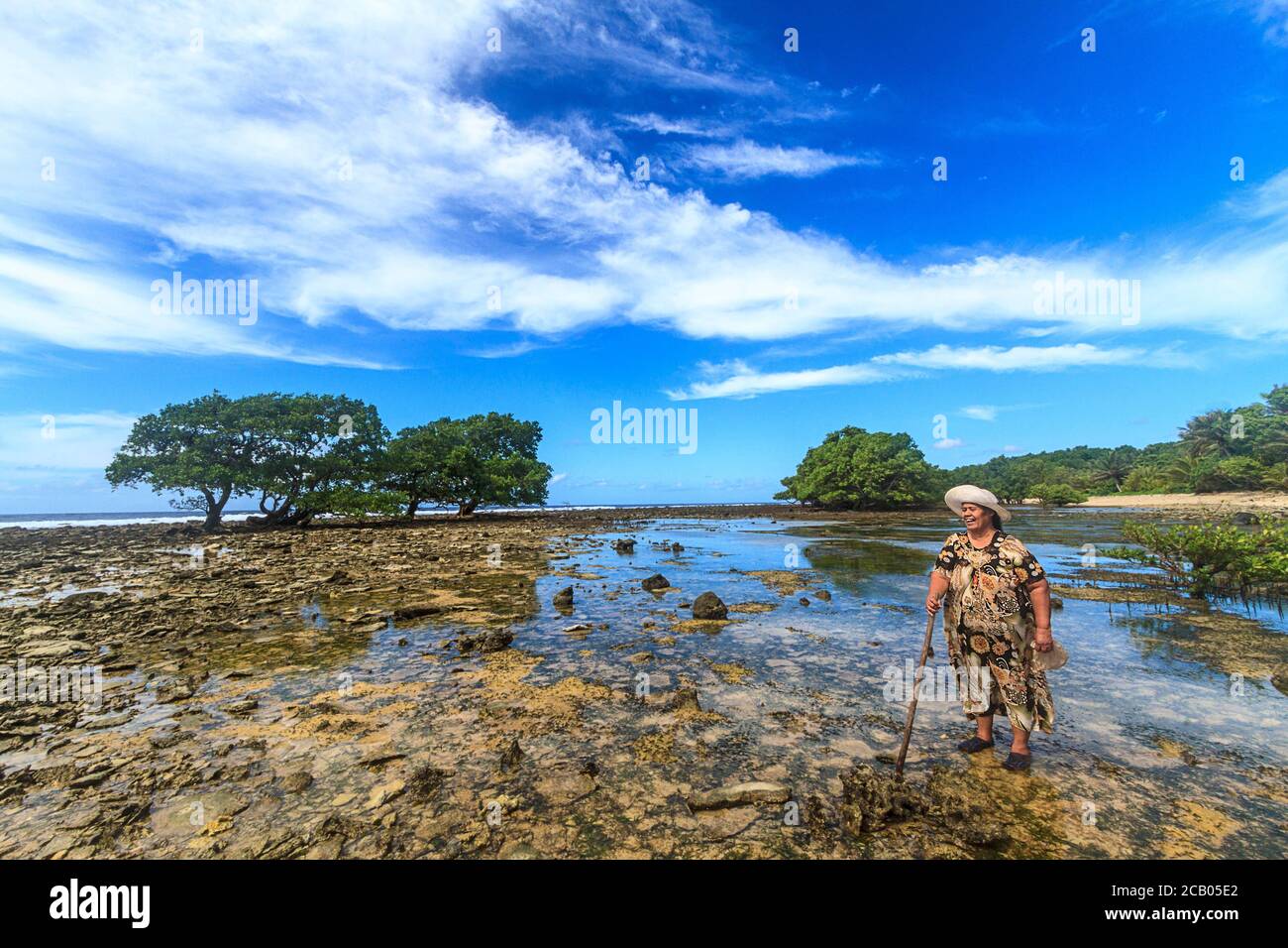 Local woman walks across coral bed at low tide, heading for the edge of the ocean to collect sea slugs for dinner. Kosrae, Micronesia. Stock Photo
