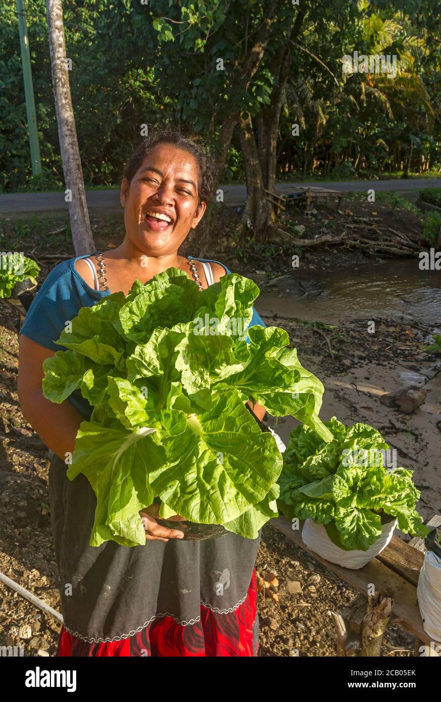 Local woman holds lettuce she had grown in a pot outside her home in Kosrae, Micronesia. Locals grow their vegetables in pots because the soil is poor and affected by sea salt. Stock Photo