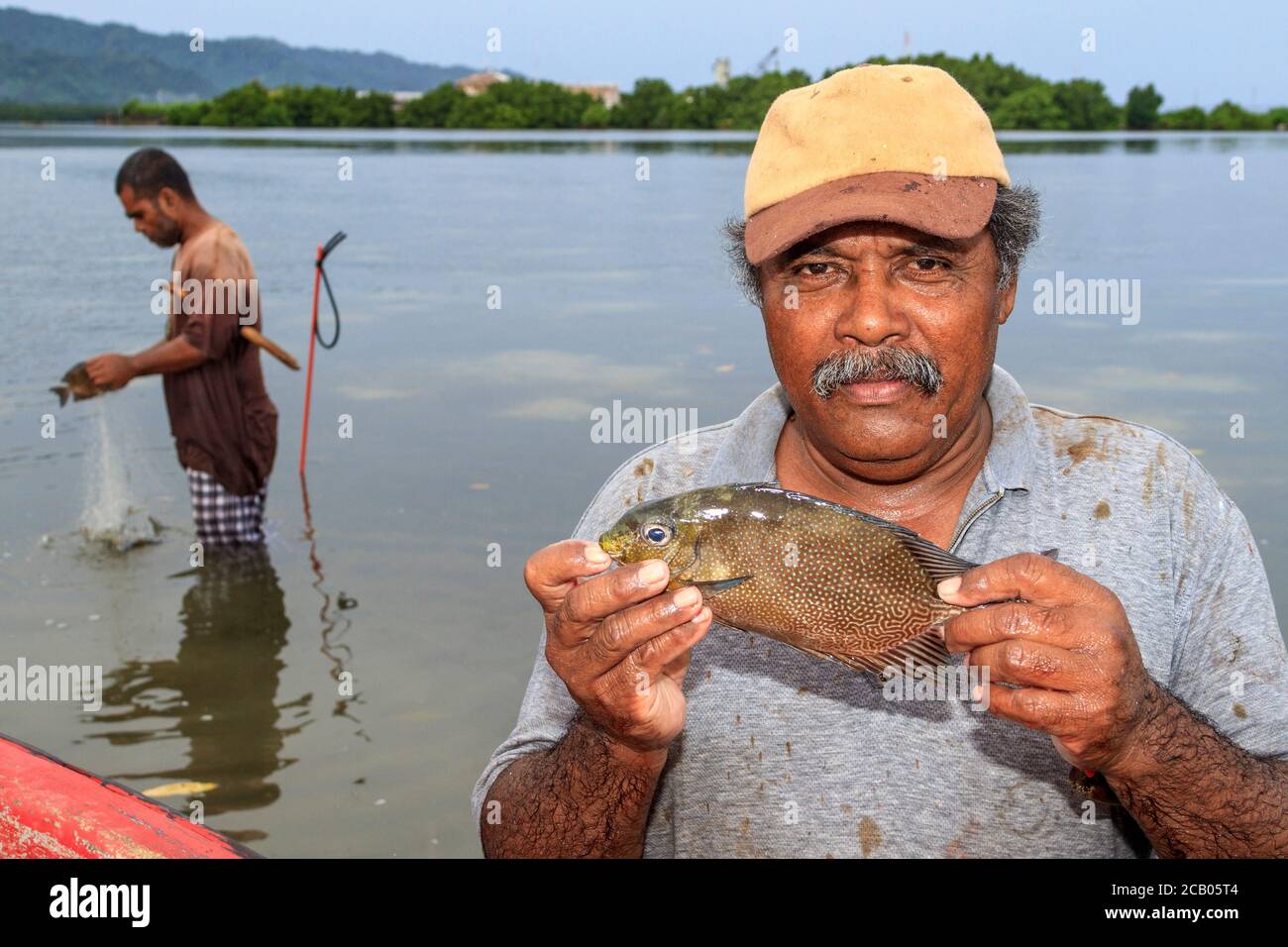 Local man with rabbitfish, known locally as mulap, caught fishing by net in shallow waters off the beach in Kosrae, Micronesia. A long net made of filament threads is is spread by two people. A third person smacks the water to drive fish into the net. Stock Photo
