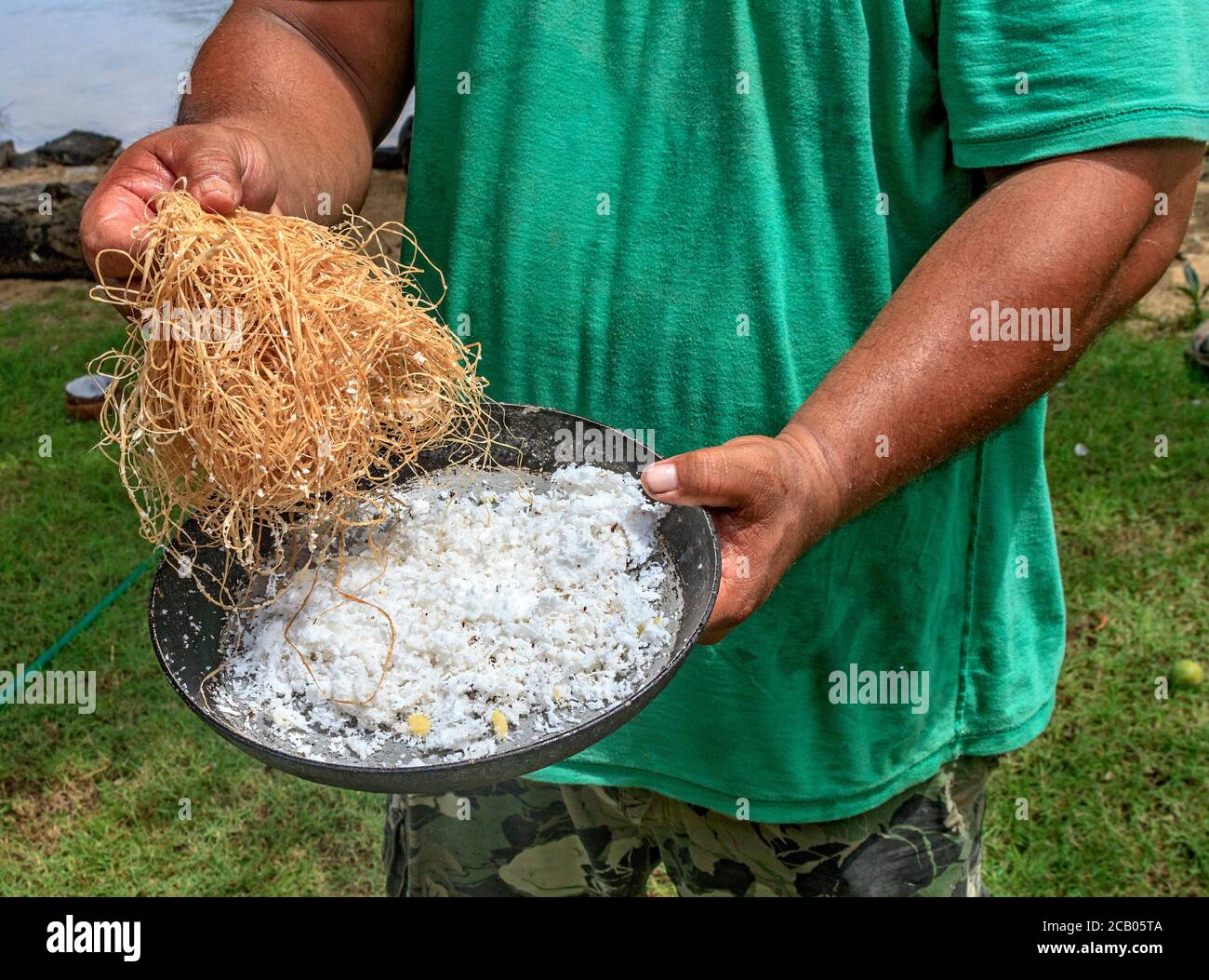 Local man demonstrates how to shred fresh coconut. The shreded coconut is then squeezed through hibiscus tree fibers and filtered to get coconut cream, which is used in cooking. Kosrae, Micronesia. Stock Photo