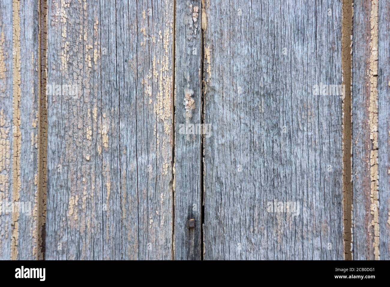Weathered wood background with yellow and grey peeling paint texture ...