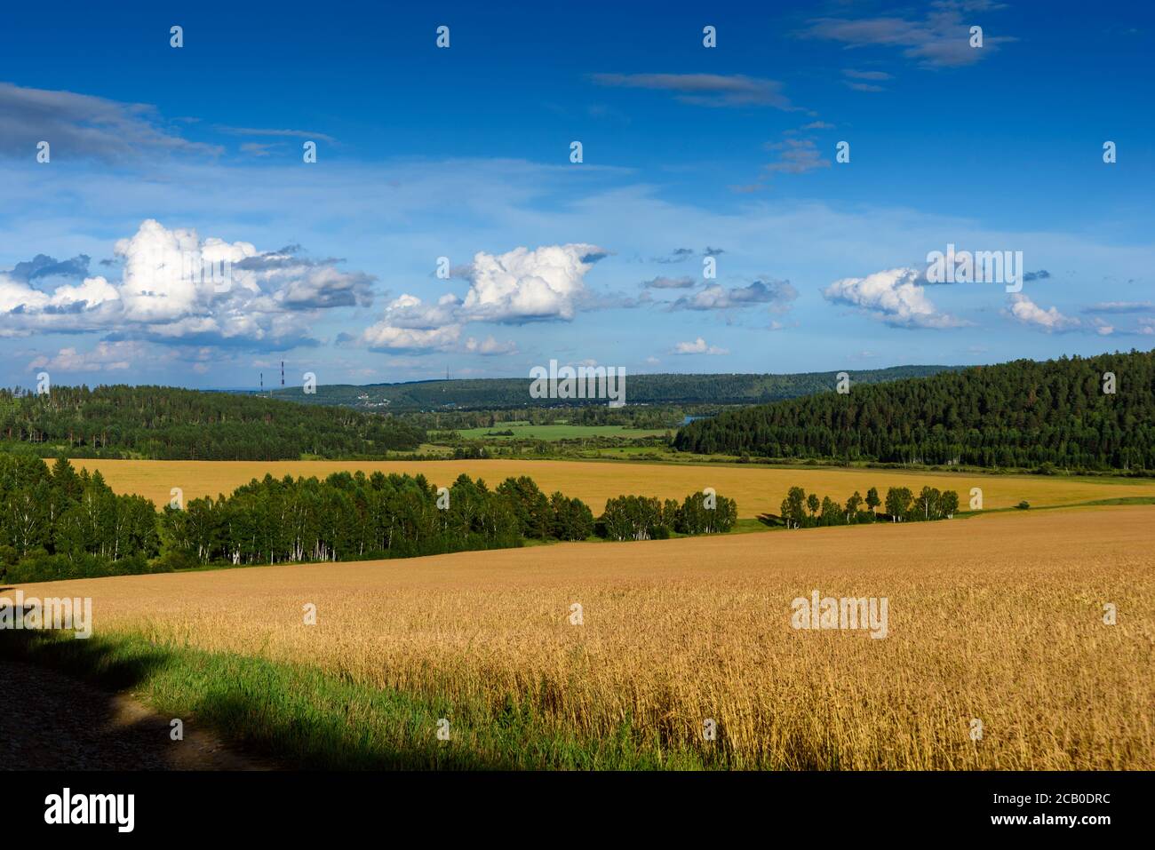 Summer Landscape with Wheat Field and Clouds Stock Photo - Alamy