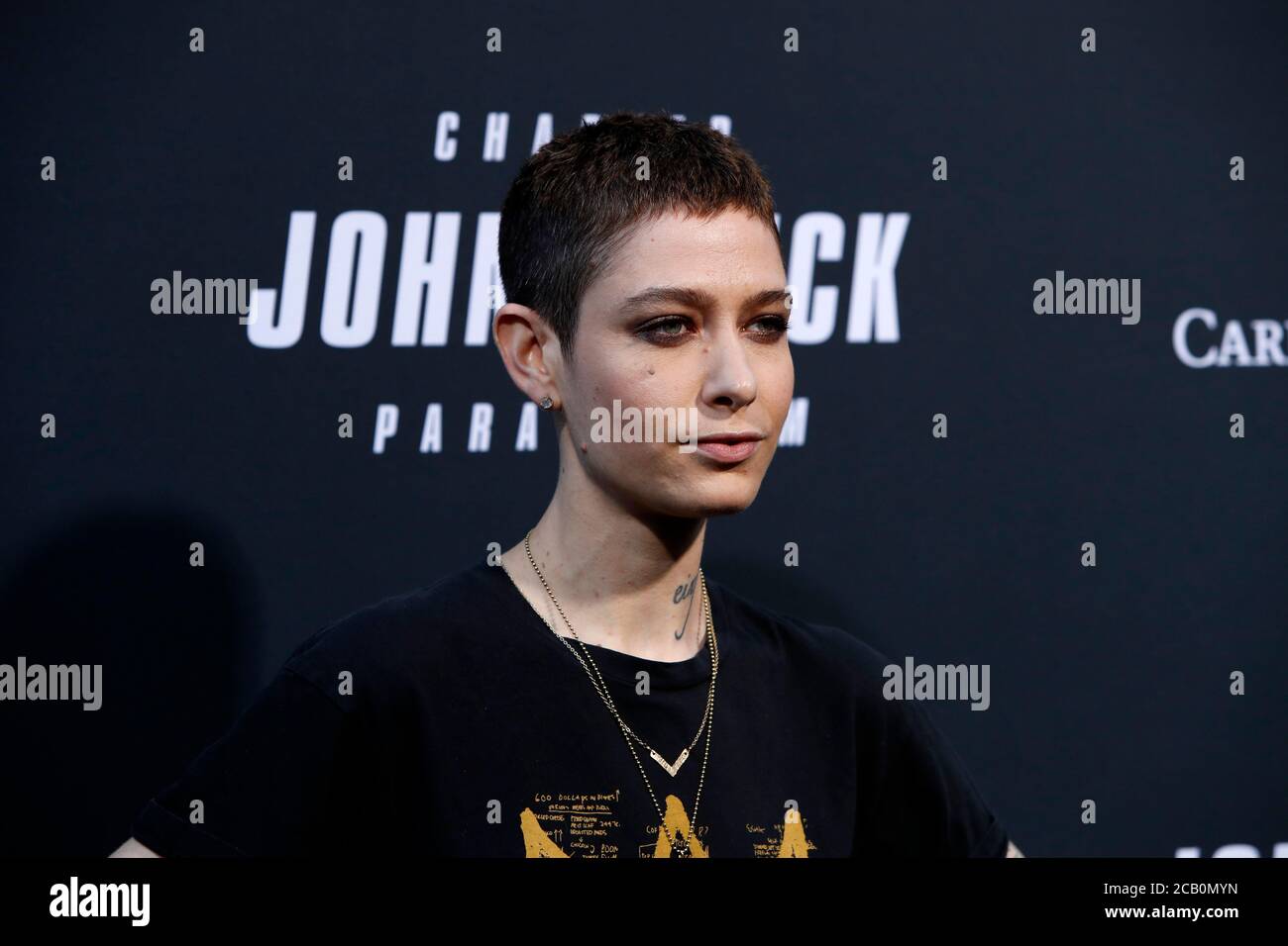 LOS ANGELES - MAY 15:  Asia Kate Dillon at the 'John Wick Chapter 3 Parabellum' Los Angeles Premiere at the TCL Chinese Theater IMAX on May 15, 2019 in Los Angeles, CA Stock Photo