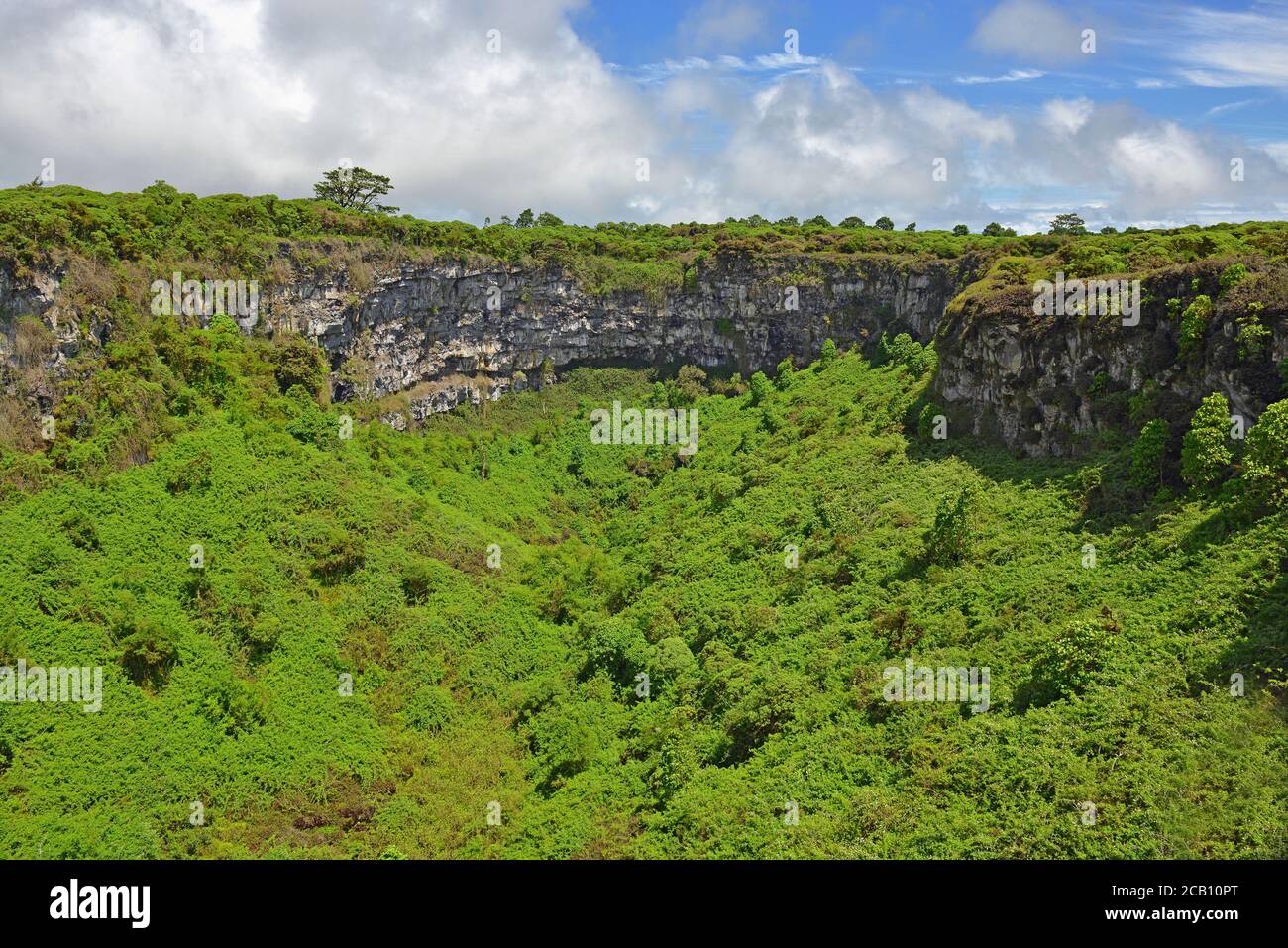One of two extinct volcanic craters of 'Los Gemelos' or twins with lush vegetation, Santa Cruz island, Galapagos islands national park, Ecuador. Stock Photo