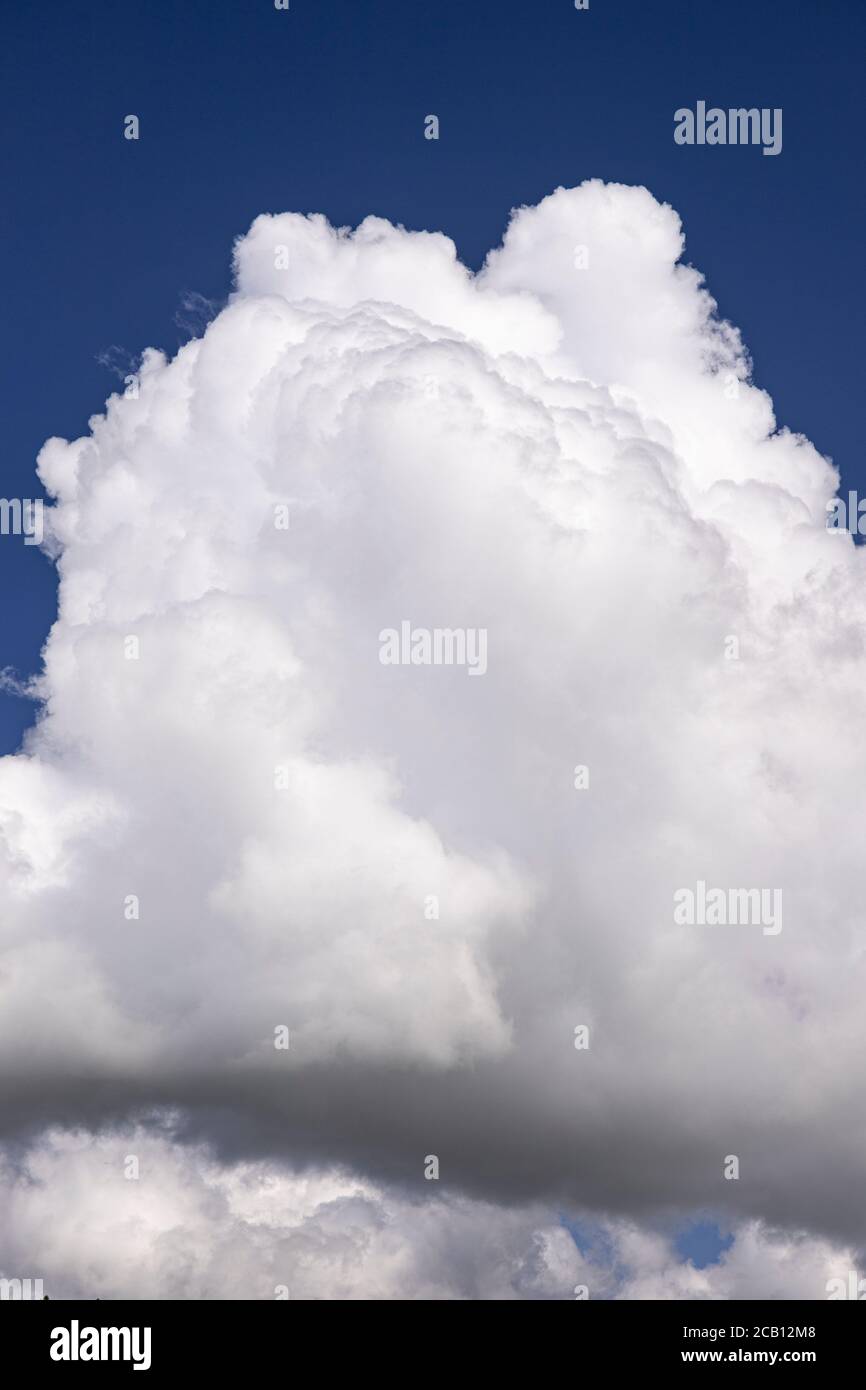 Large cumulus cloud in a deep blue sky Stock Photo