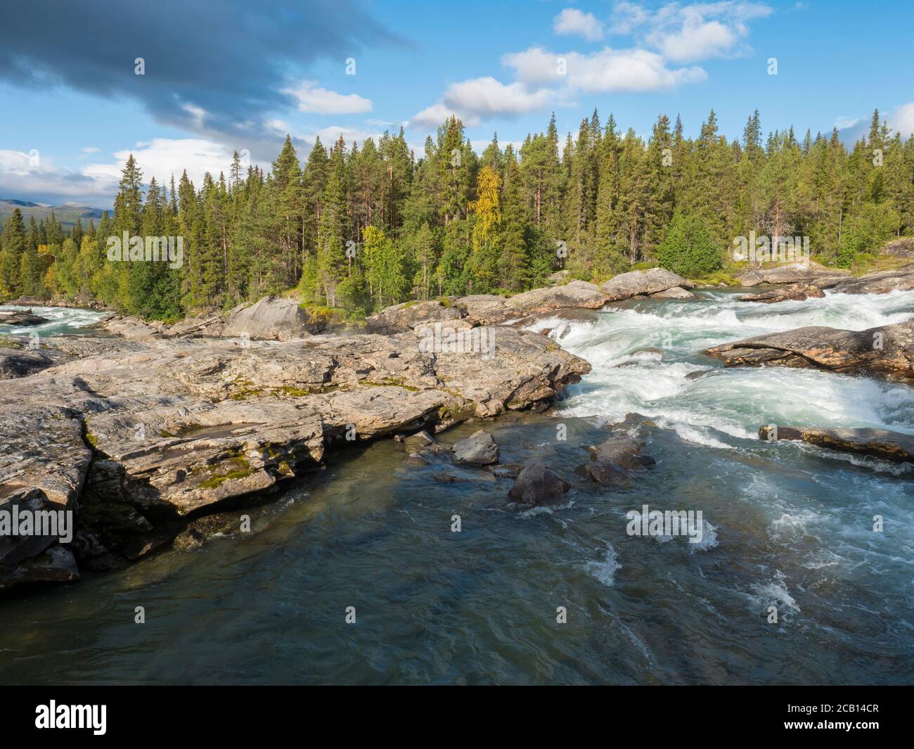 Beautiful northern landscape with wild glacial river Kamajokk, boulders and spruce tree forest in Kvikkjokk in Swedish Lapland. Summer sunny day Stock Photo