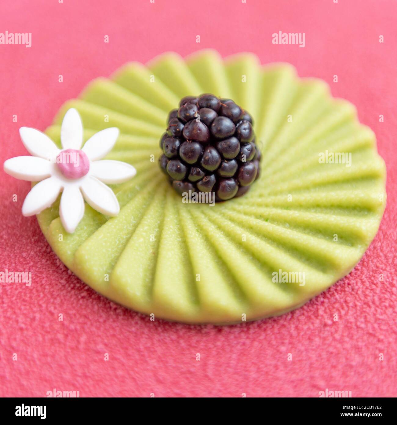 pink cake surface with white flower ornament, green chocolate disk and a blackberry Stock Photo